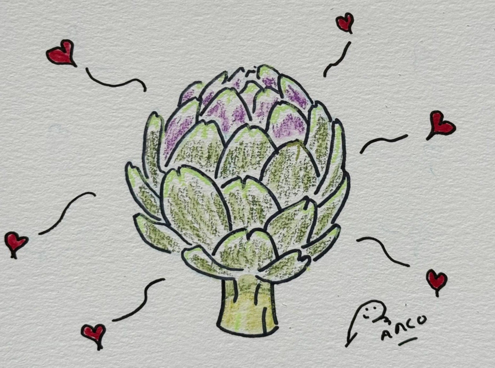 Dessin-artichauts