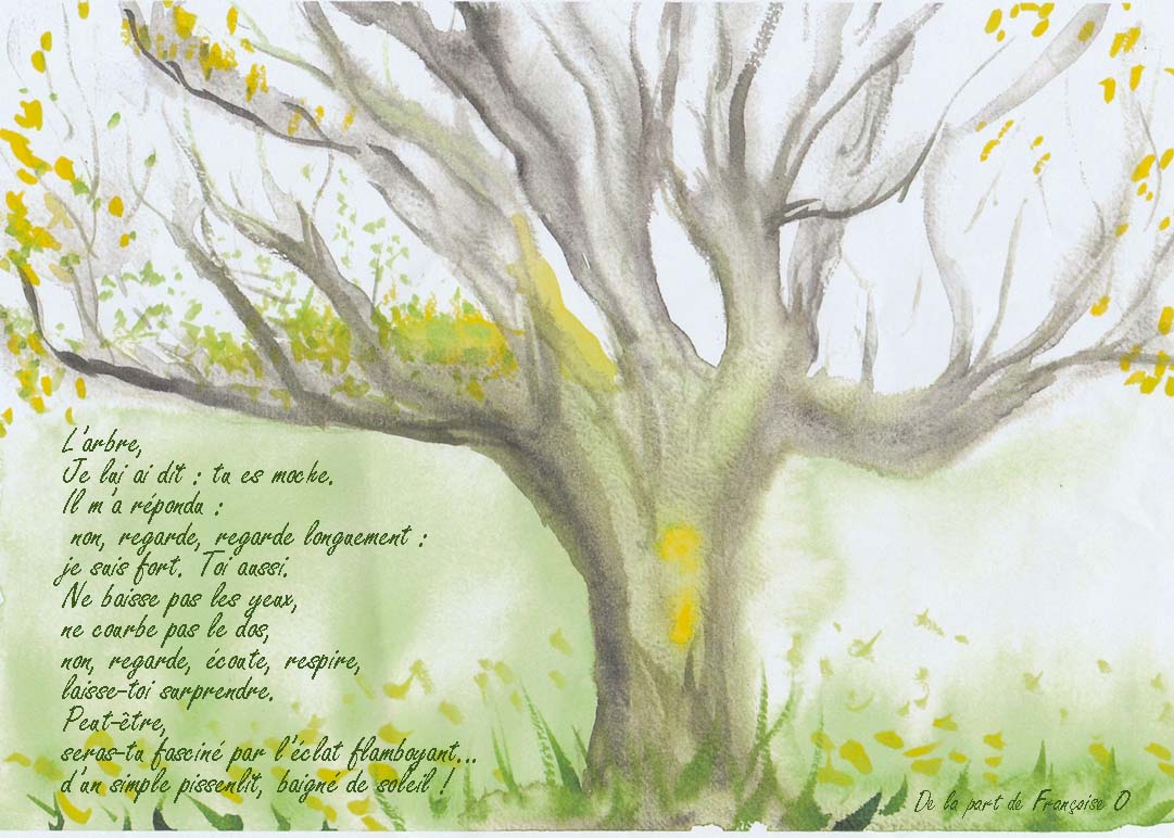 44-L-arbre-de-Francoise