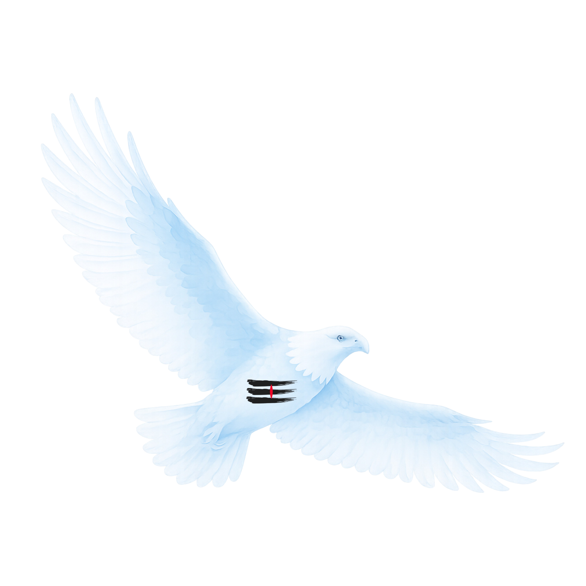 Oiseau-bleu-sans-fond
