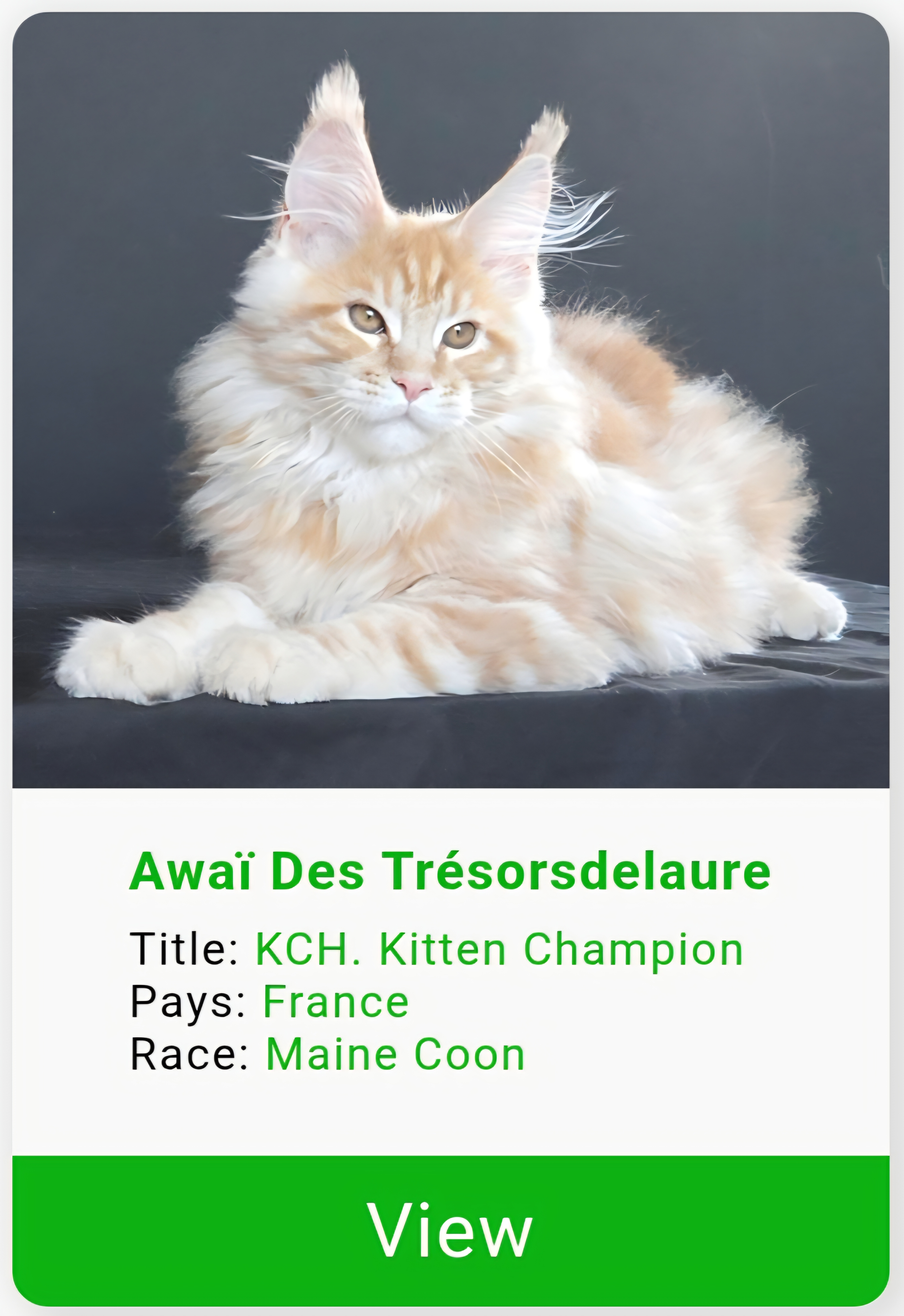 Screenshot 20260518 100626 chrome 1 