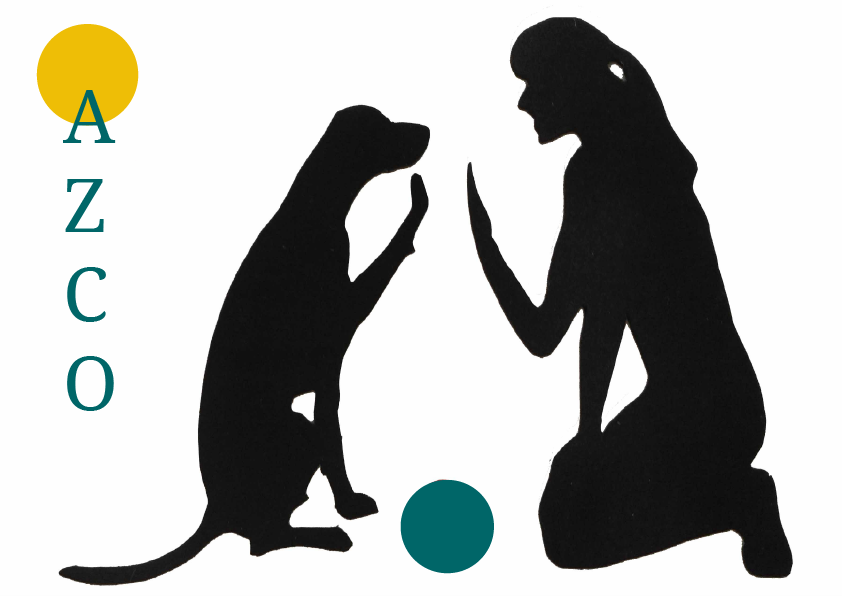 Logo-asso-azco