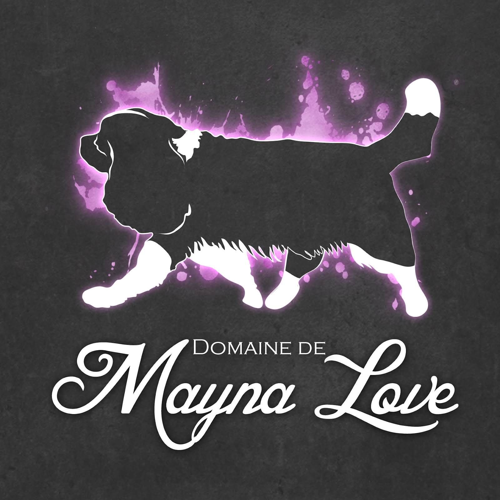 Logo-mayna-love