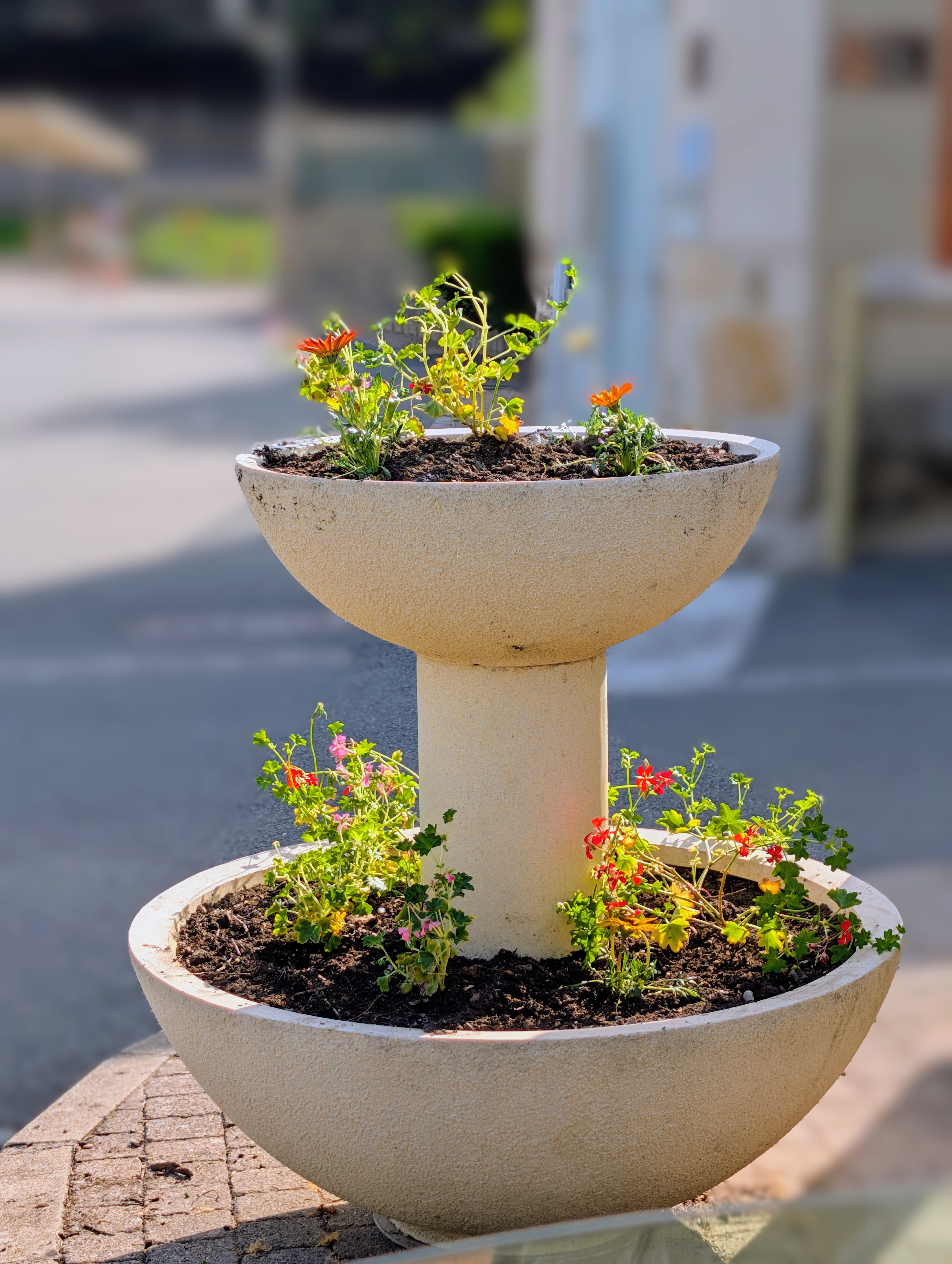 le printemps à la Grobe