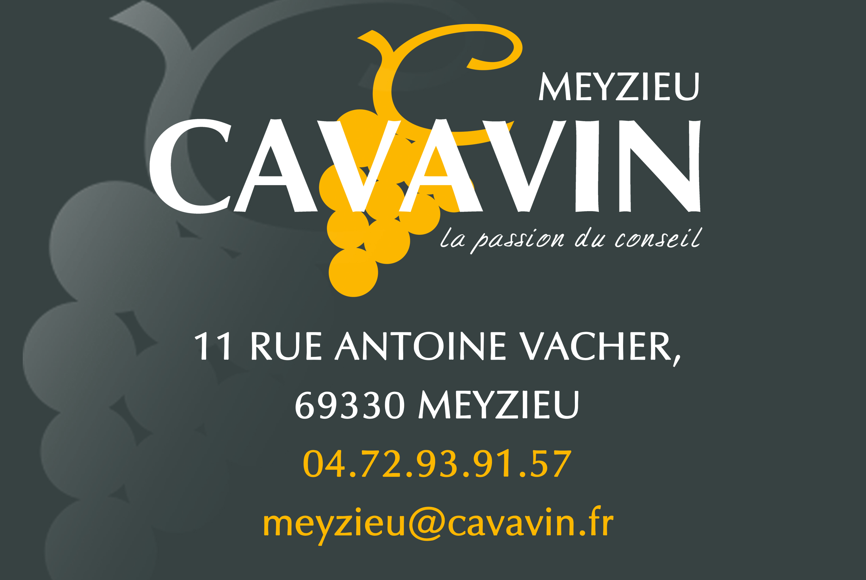 Logo cavavin meyzieu