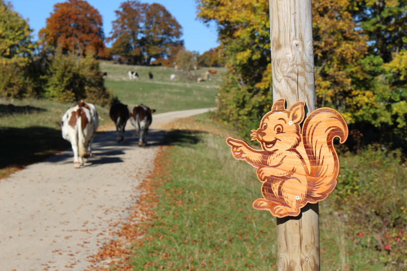 Enveloppe surprise pour chasse au trésor
