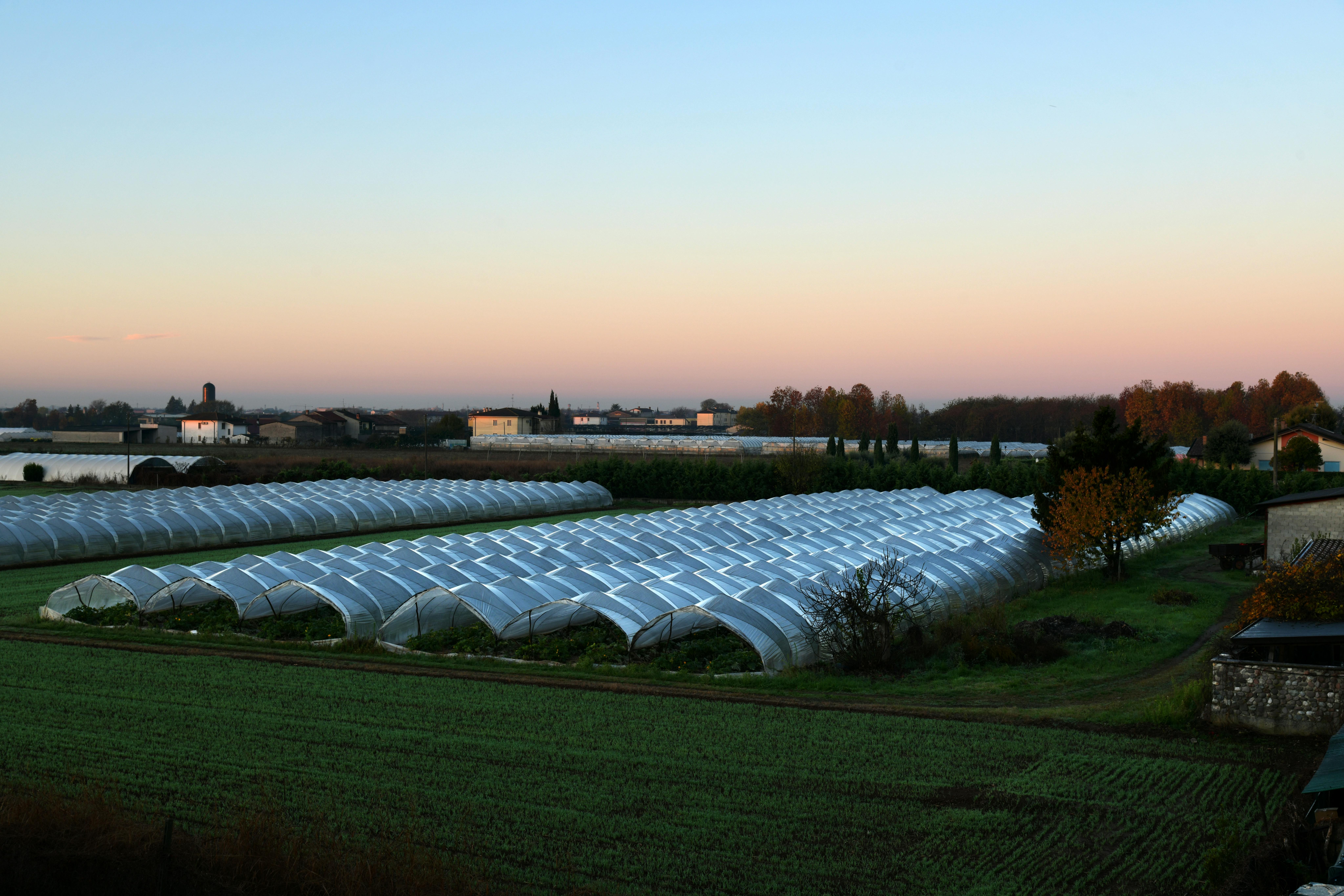 Audit marketing pour PME agroalimentaire en Nouvelle-Aquitaine