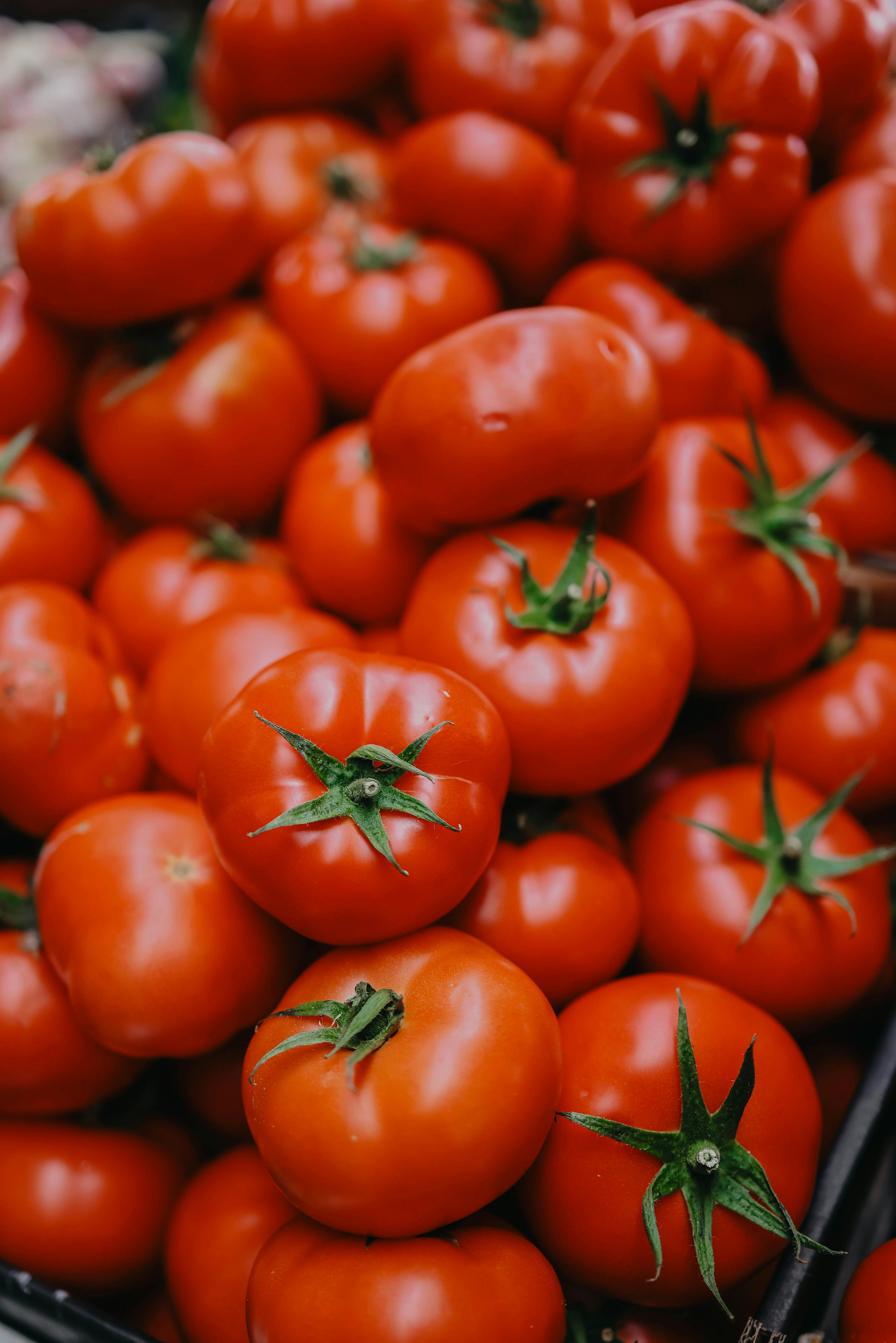 Audit marketing pour PME agroalimentaire en Nouvelle-Aquitaine