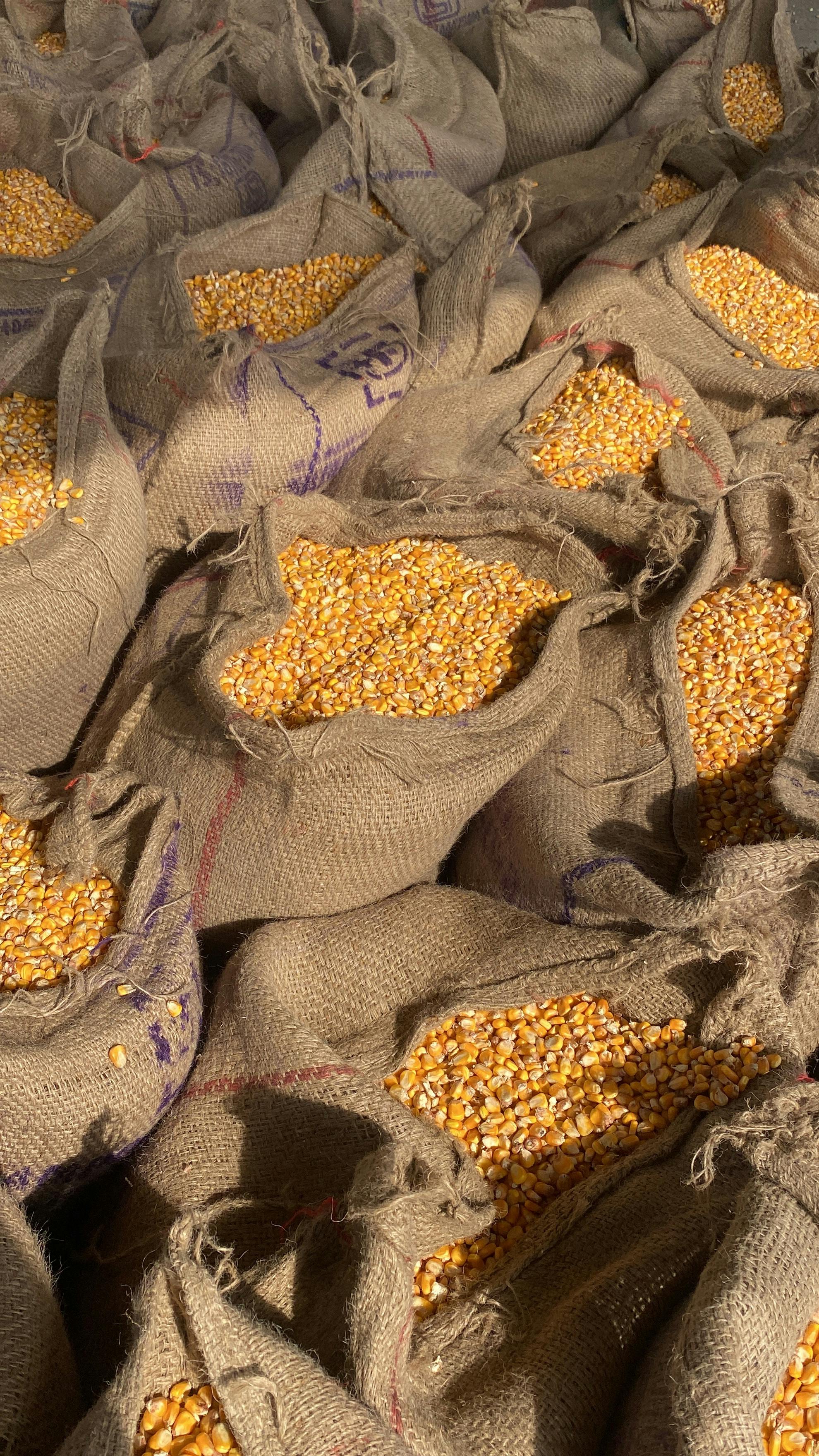 Audit marketing pour PME agroalimentaire en Nouvelle-Aquitaine