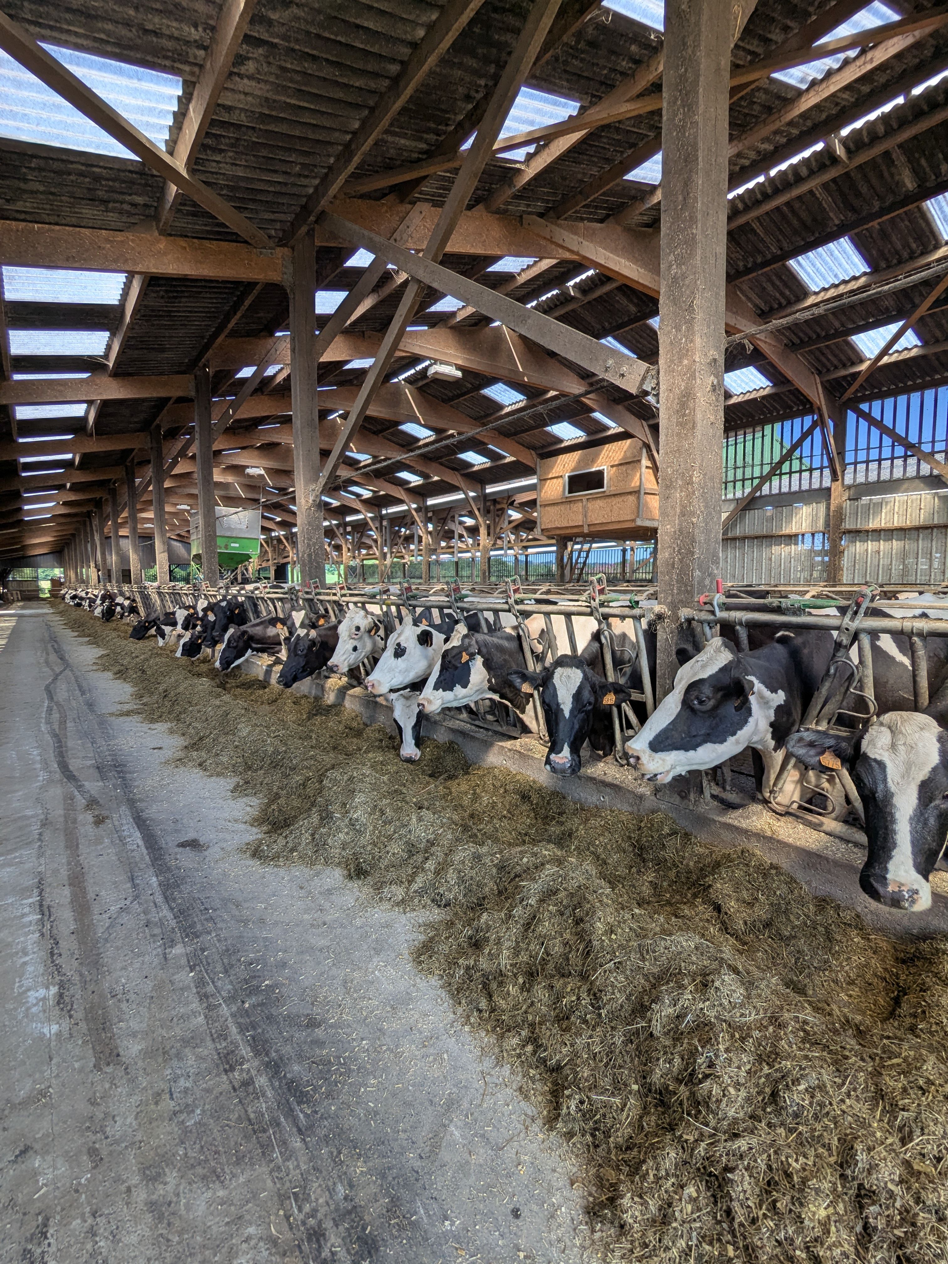 Audit marketing pour PME agroalimentaire en Nouvelle-Aquitaine