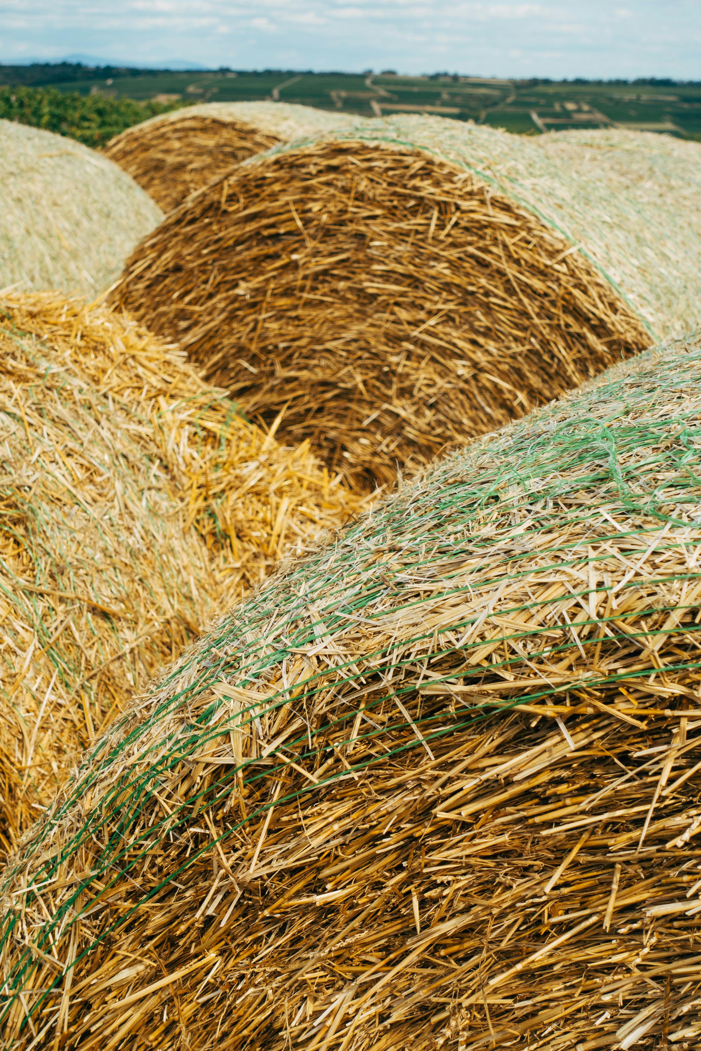Audit marketing pour PME agroalimentaire en Nouvelle-Aquitaine