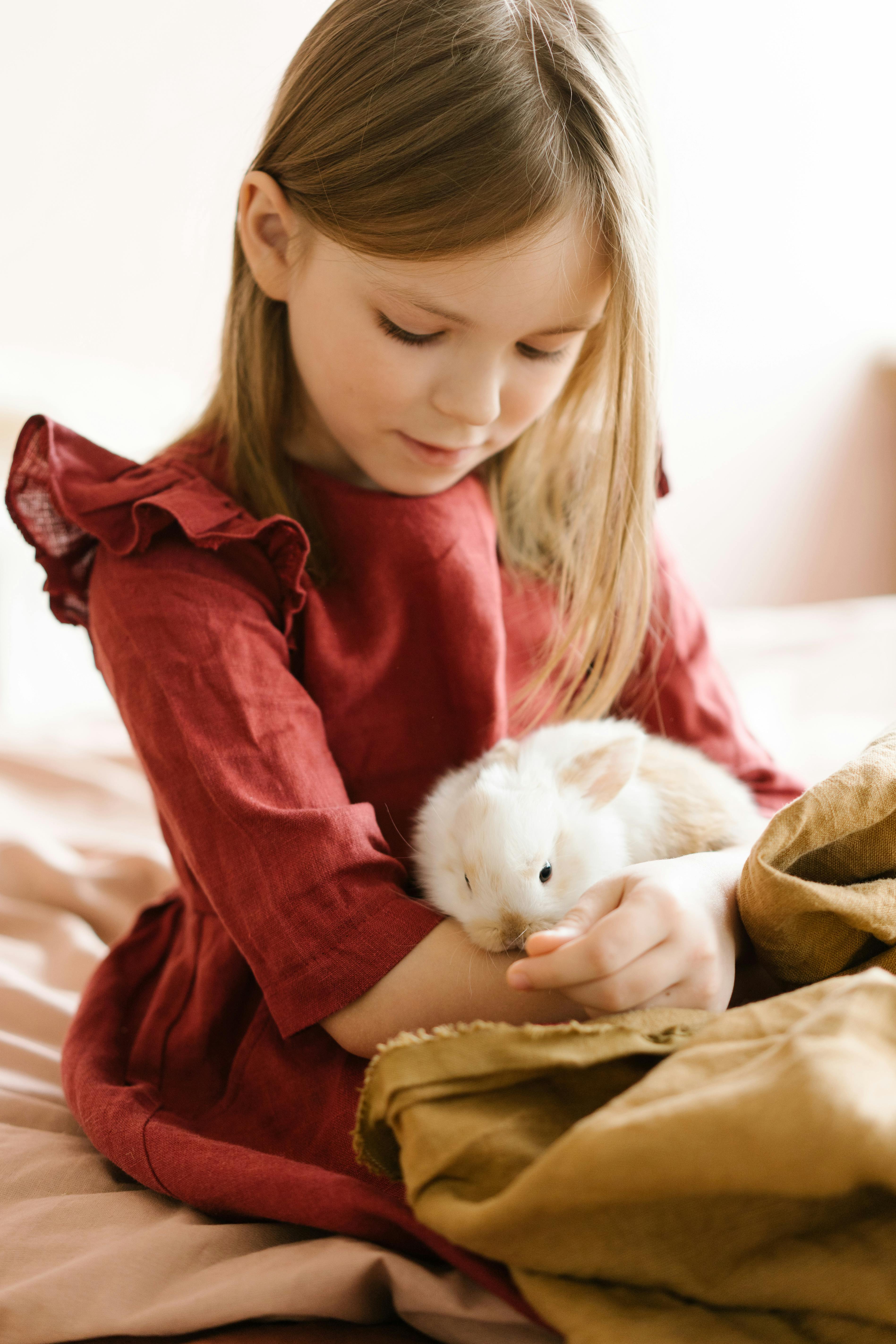 Enfant en interaction avec un lapin lors d'une activité de médiation animale