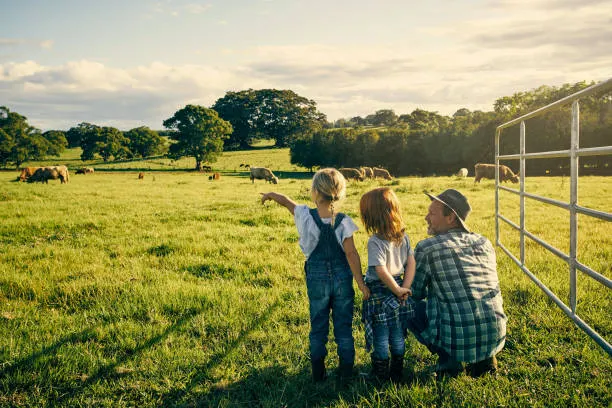 Audit marketing pour PME agroalimentaire en Nouvelle-Aquitaine