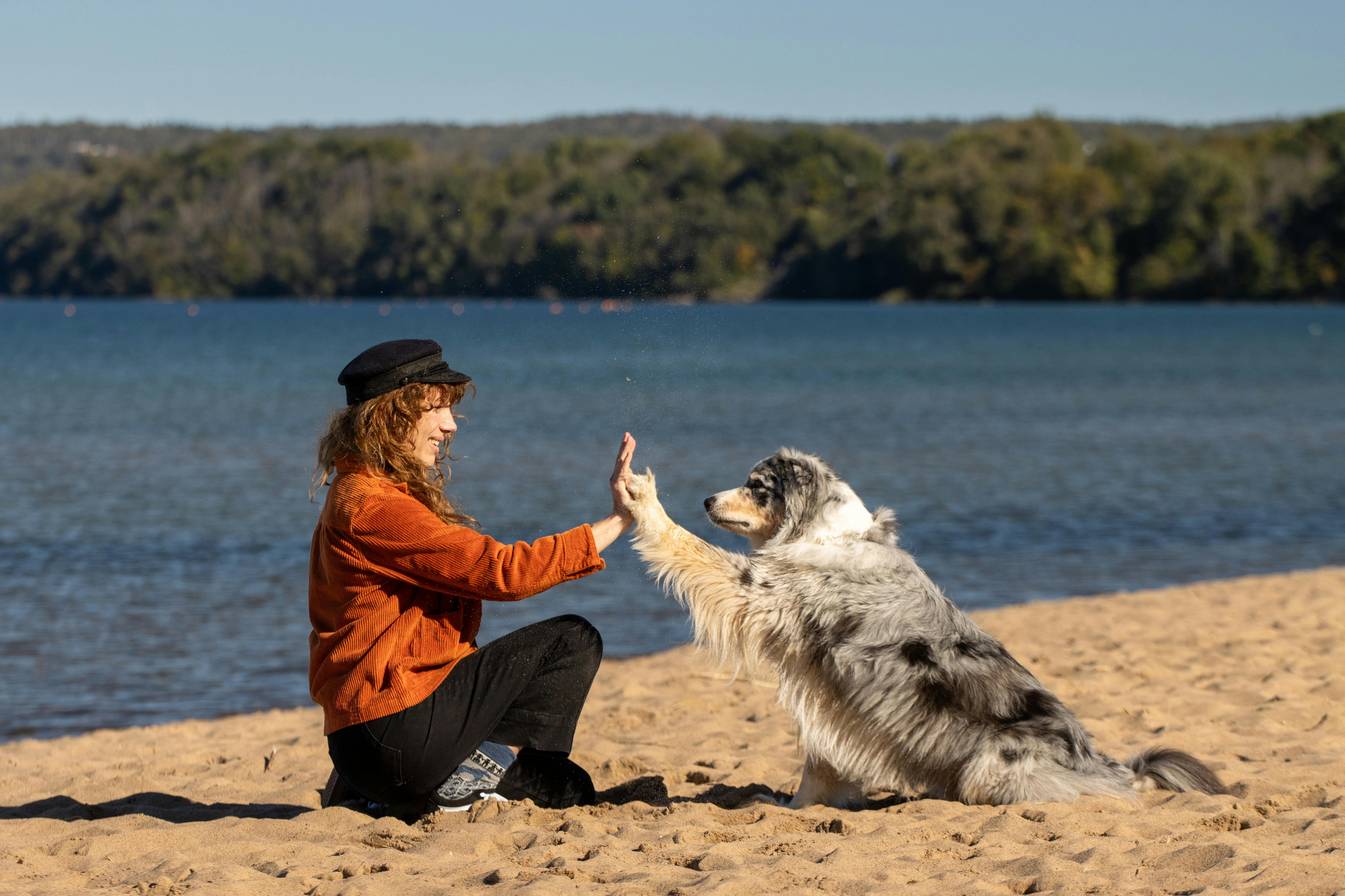 Complicité entre l'humain et le chien dans une séance de médiation animale