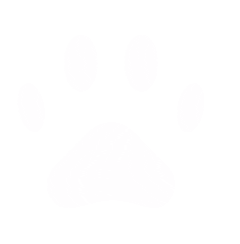 Empreinte-chien