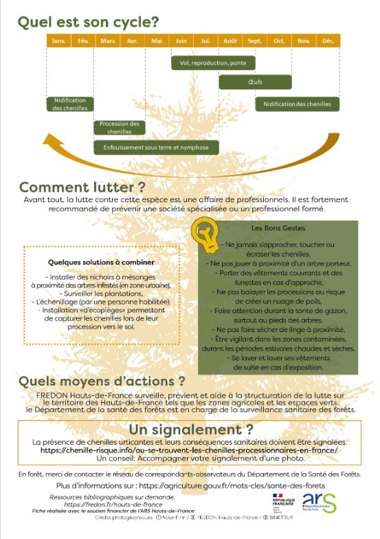 Chenille-2