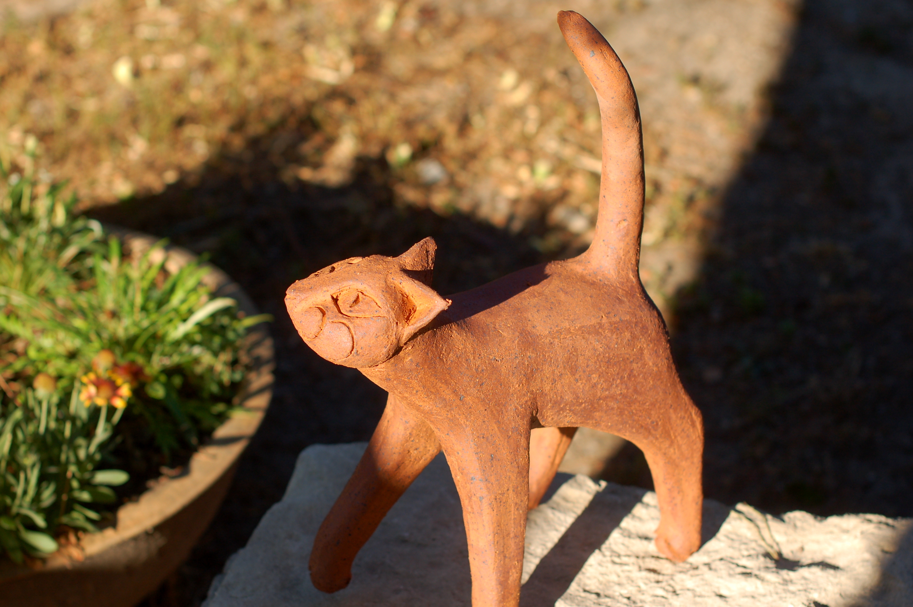 Dsc 0007