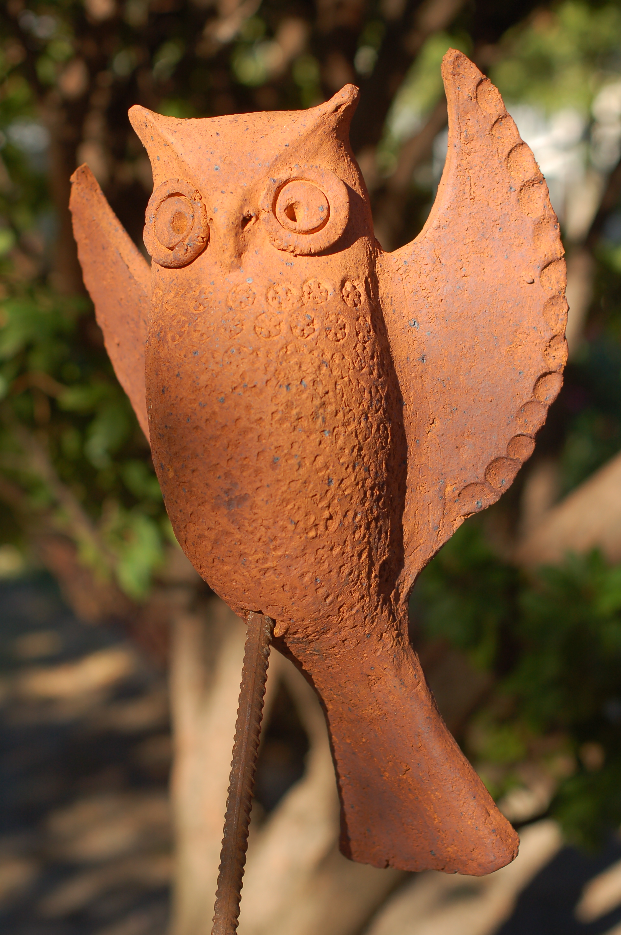Dsc 0005