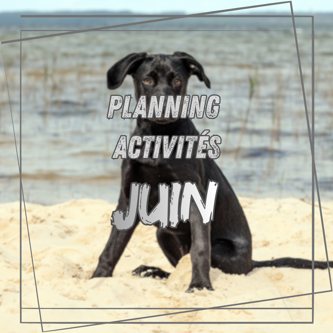 Planning de Juin !