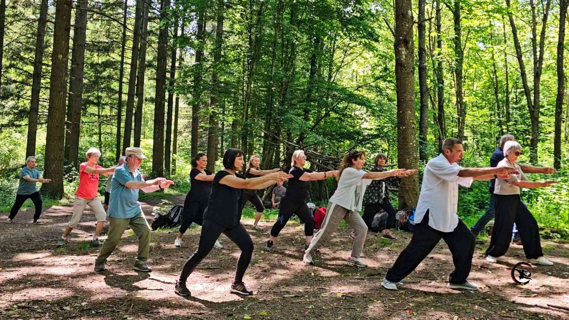 Retour sur les stages nature de Qi Gong & Tai Chi à St Victor de Cessieu en Isère