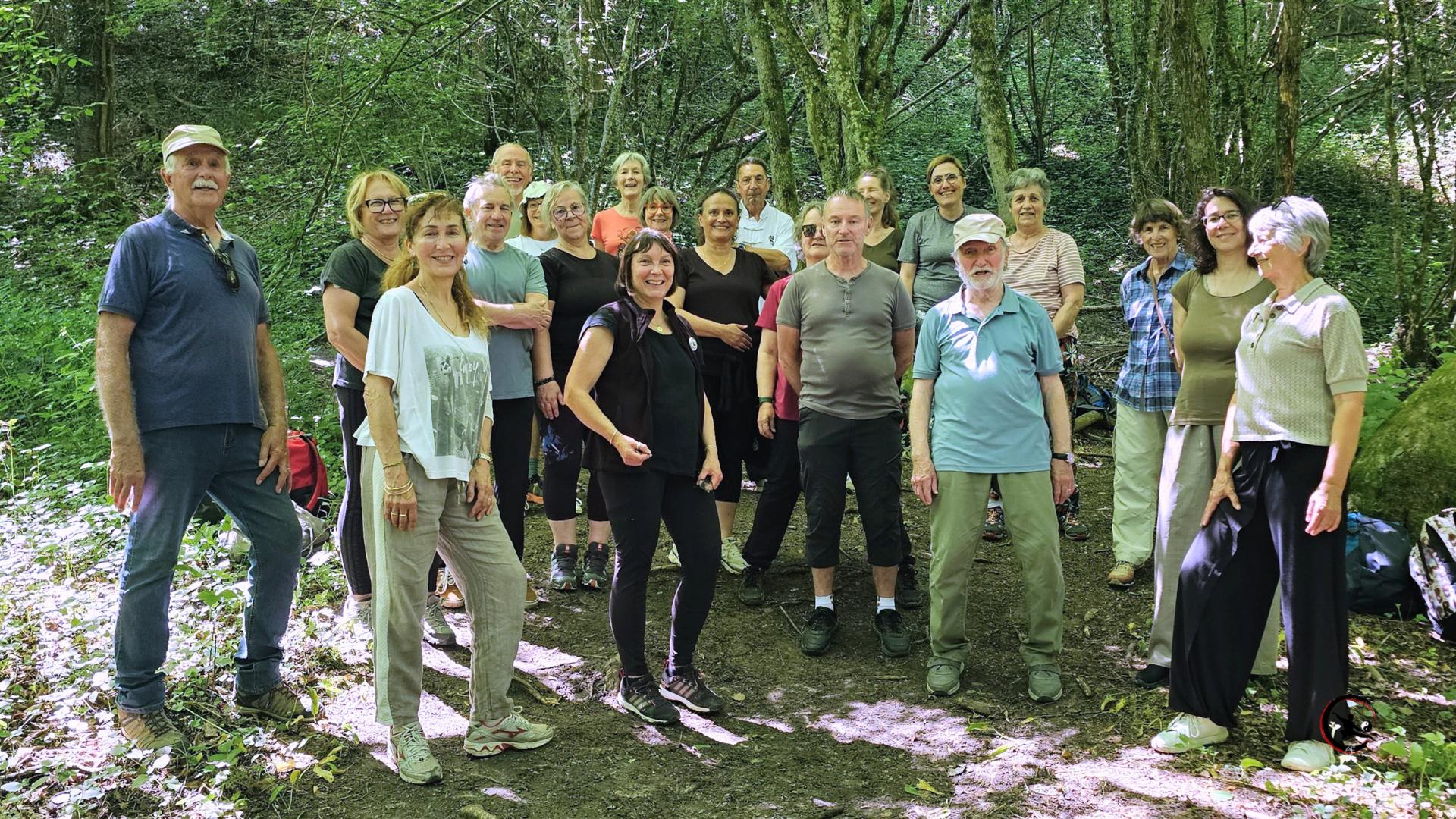 Qi gong tai chi stage nature saint victor de cessieu isere artdumieuxetre 2026 11 