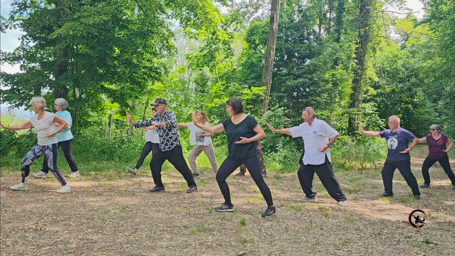 Qi gong tai chi stage nature saint victor de cessieu isere artdumieuxetre 2026 5 