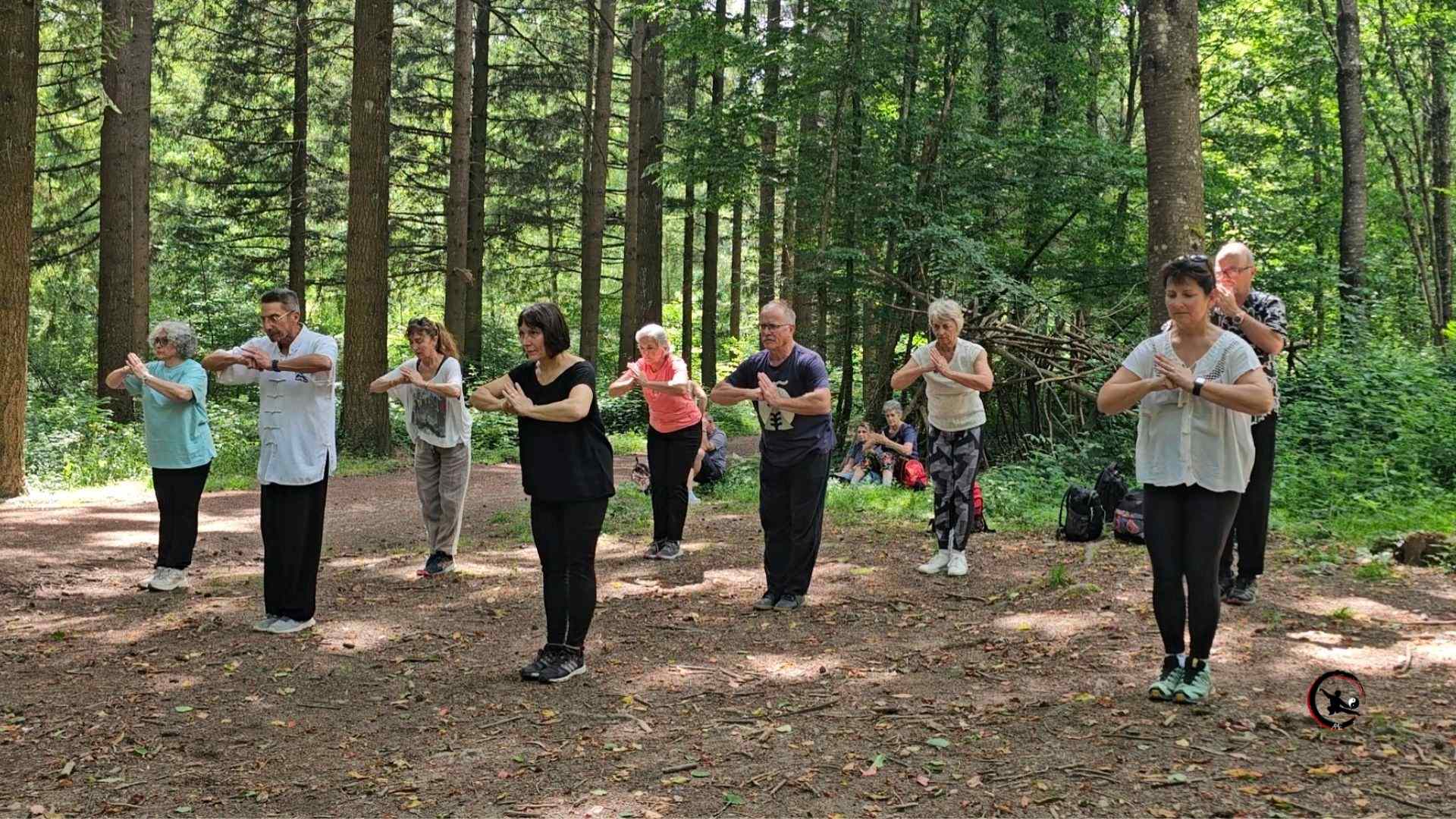 Qi gong tai chi stage nature saint victor de cessieu isere artdumieuxetre 2026 4 