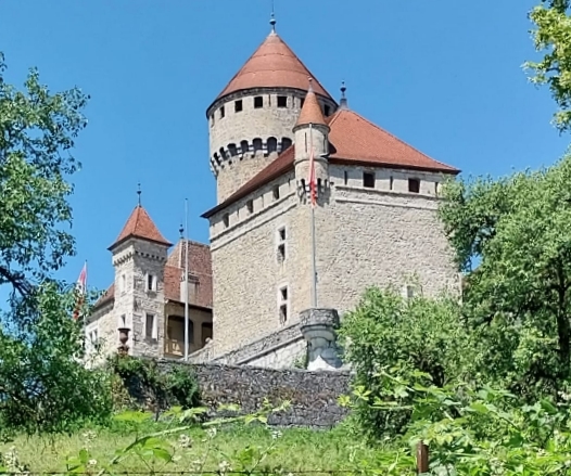 A1