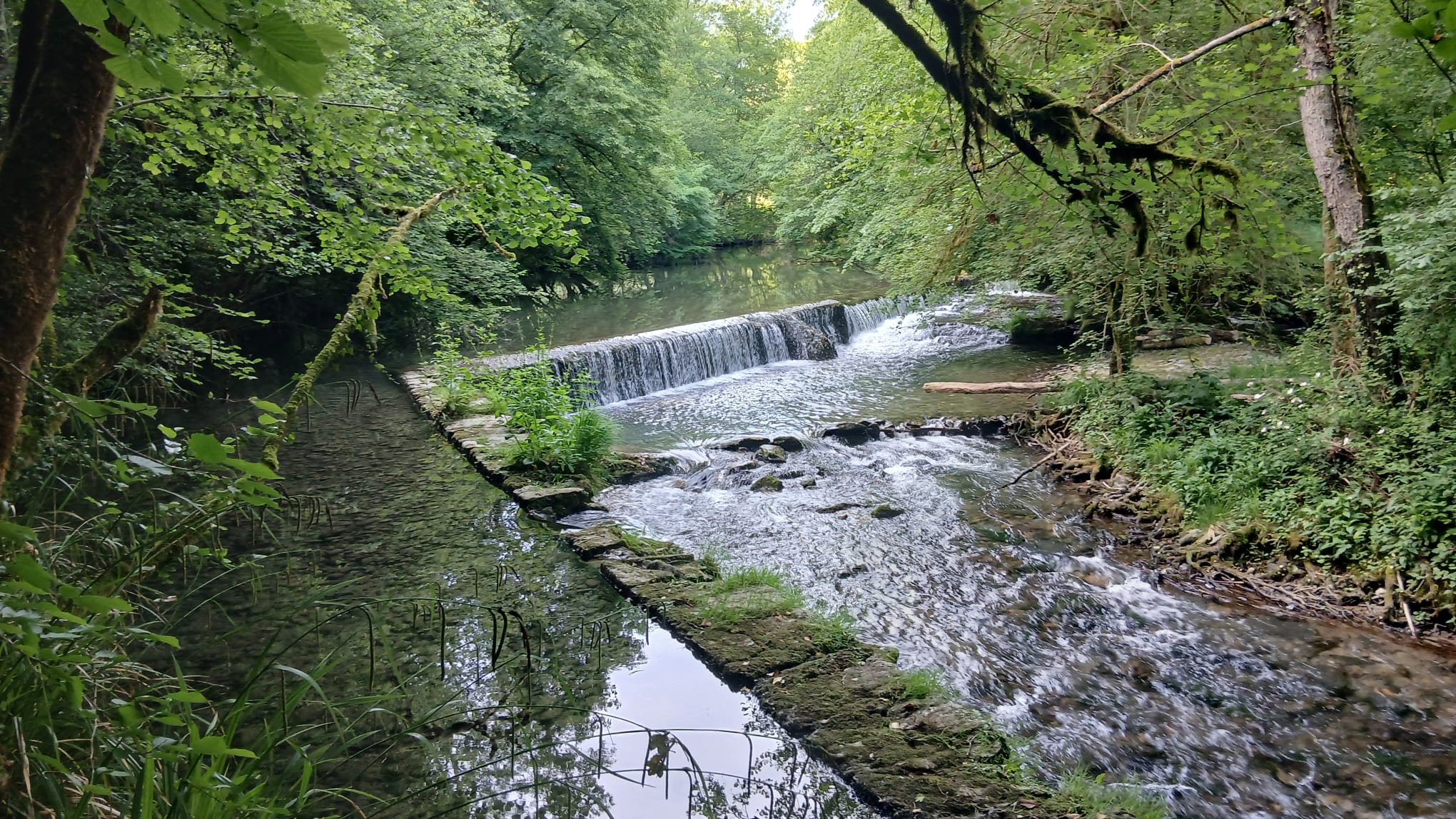 Baronnies 47 