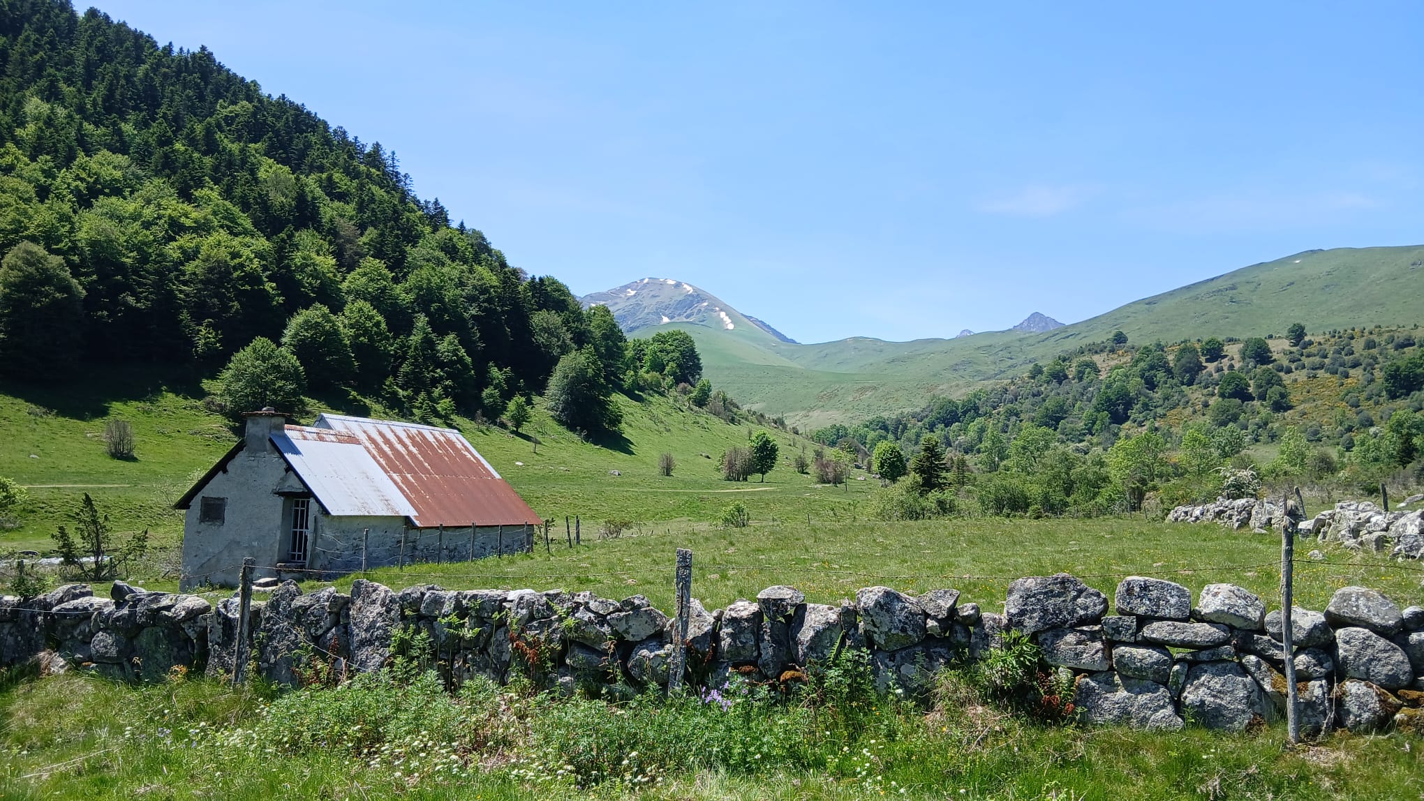 Baronnies 45 