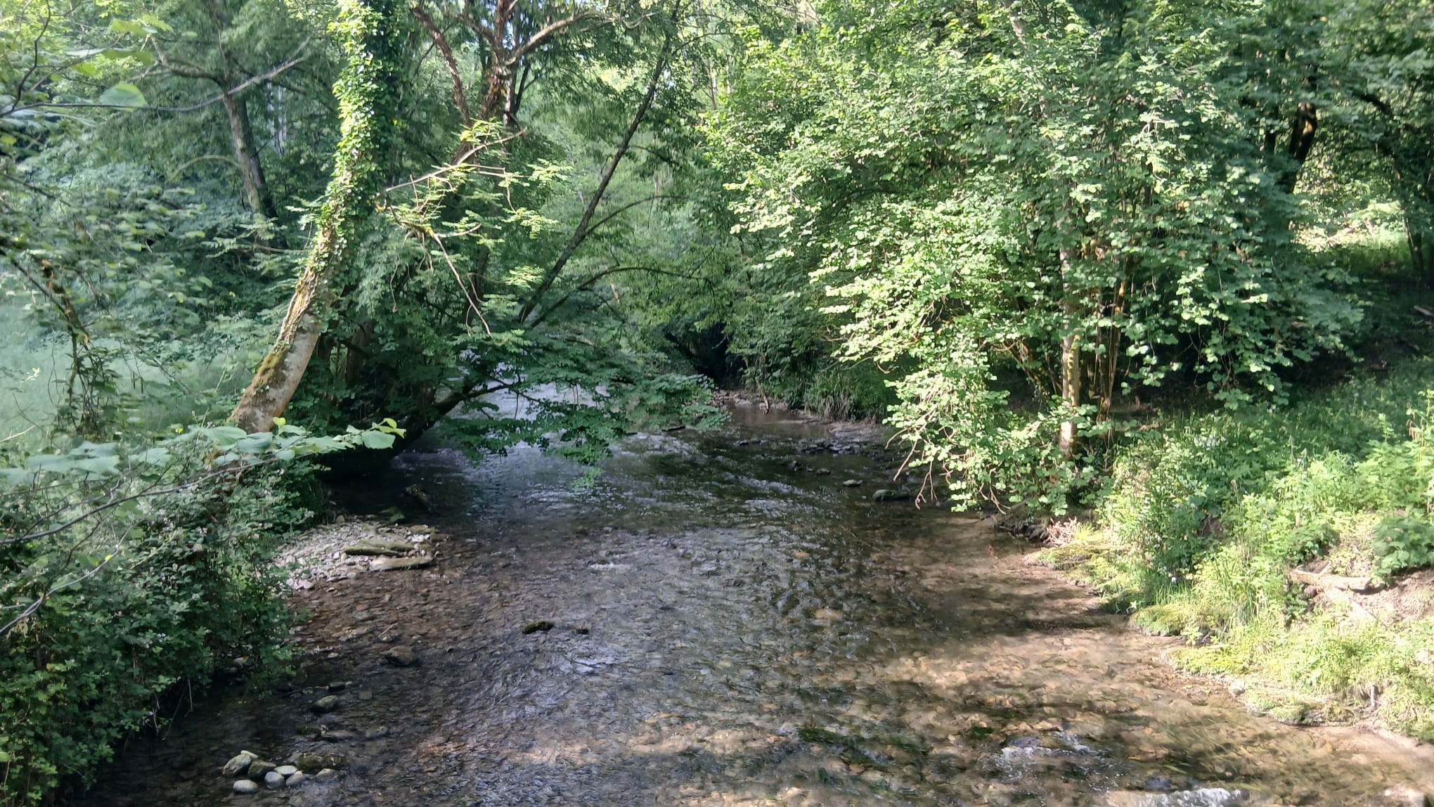 Baronnies 42 