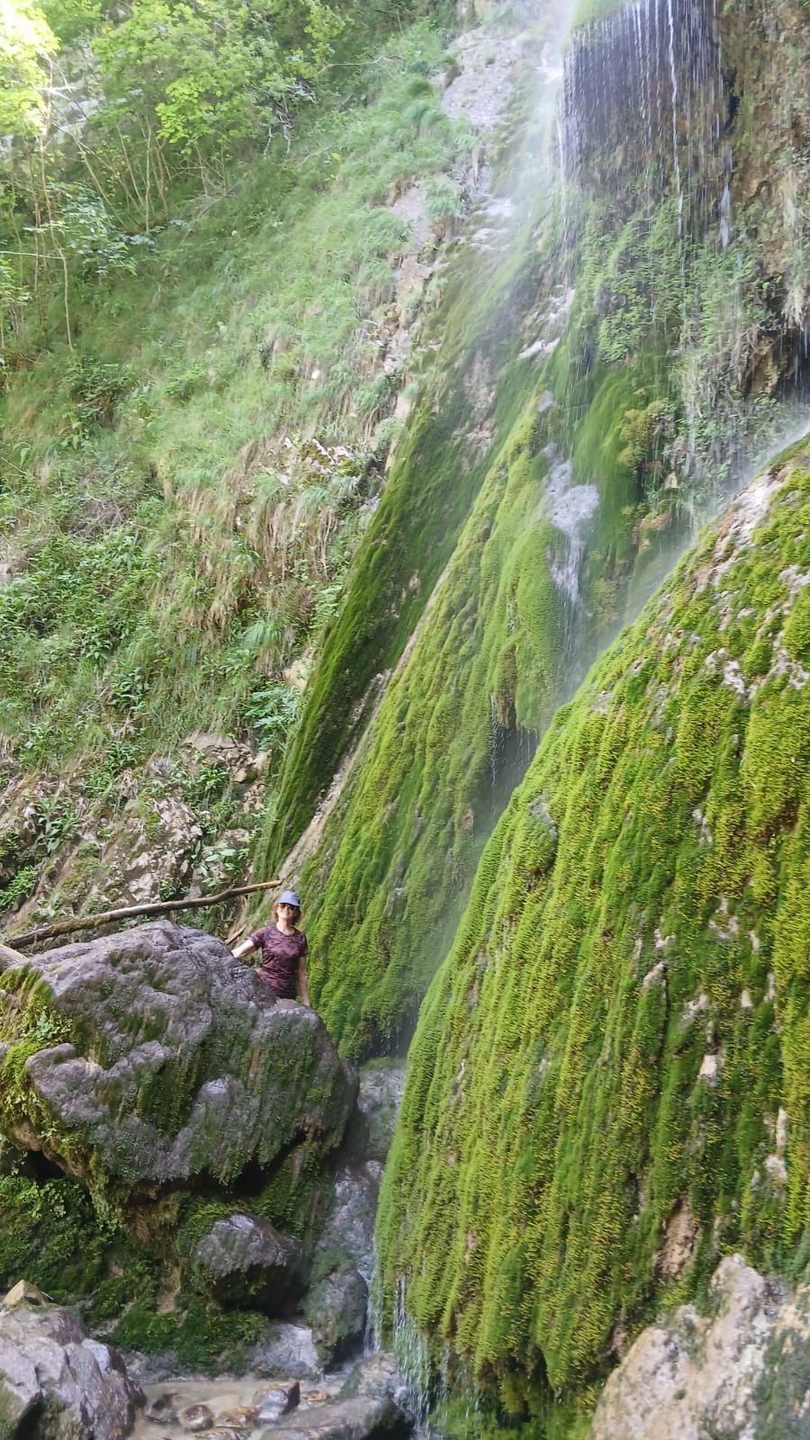 Baronnies 41 