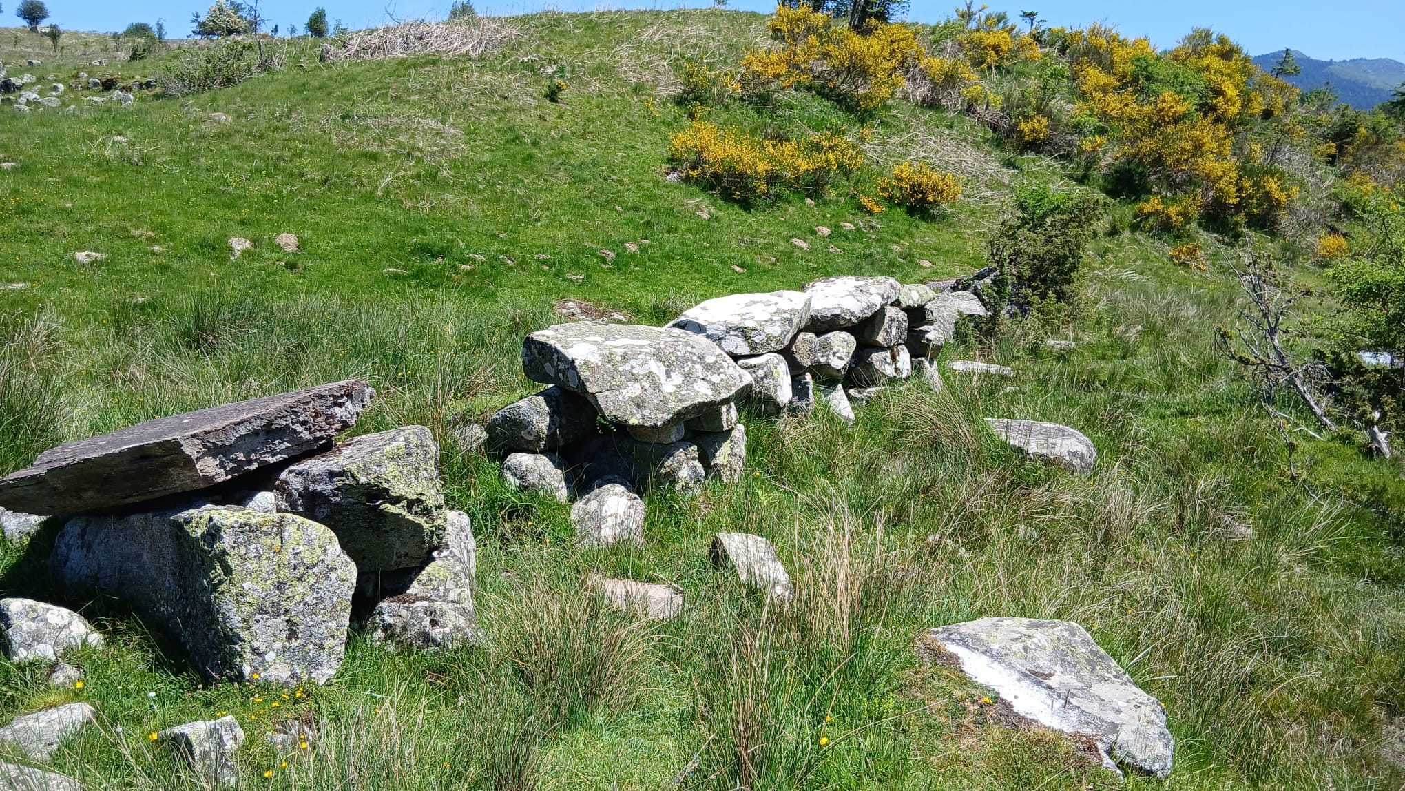 Baronnies 39 