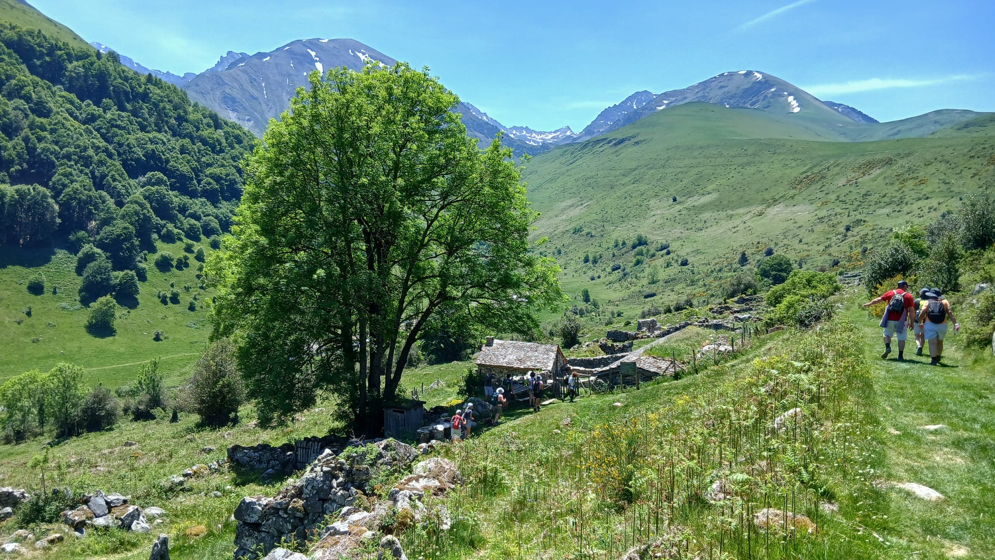 Baronnies 37 