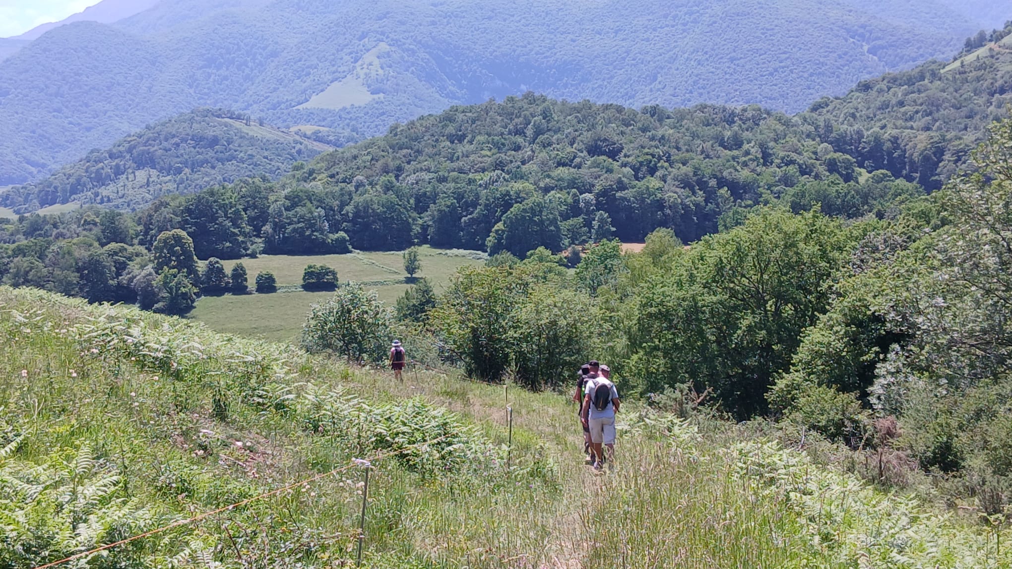 Baronnies 36 