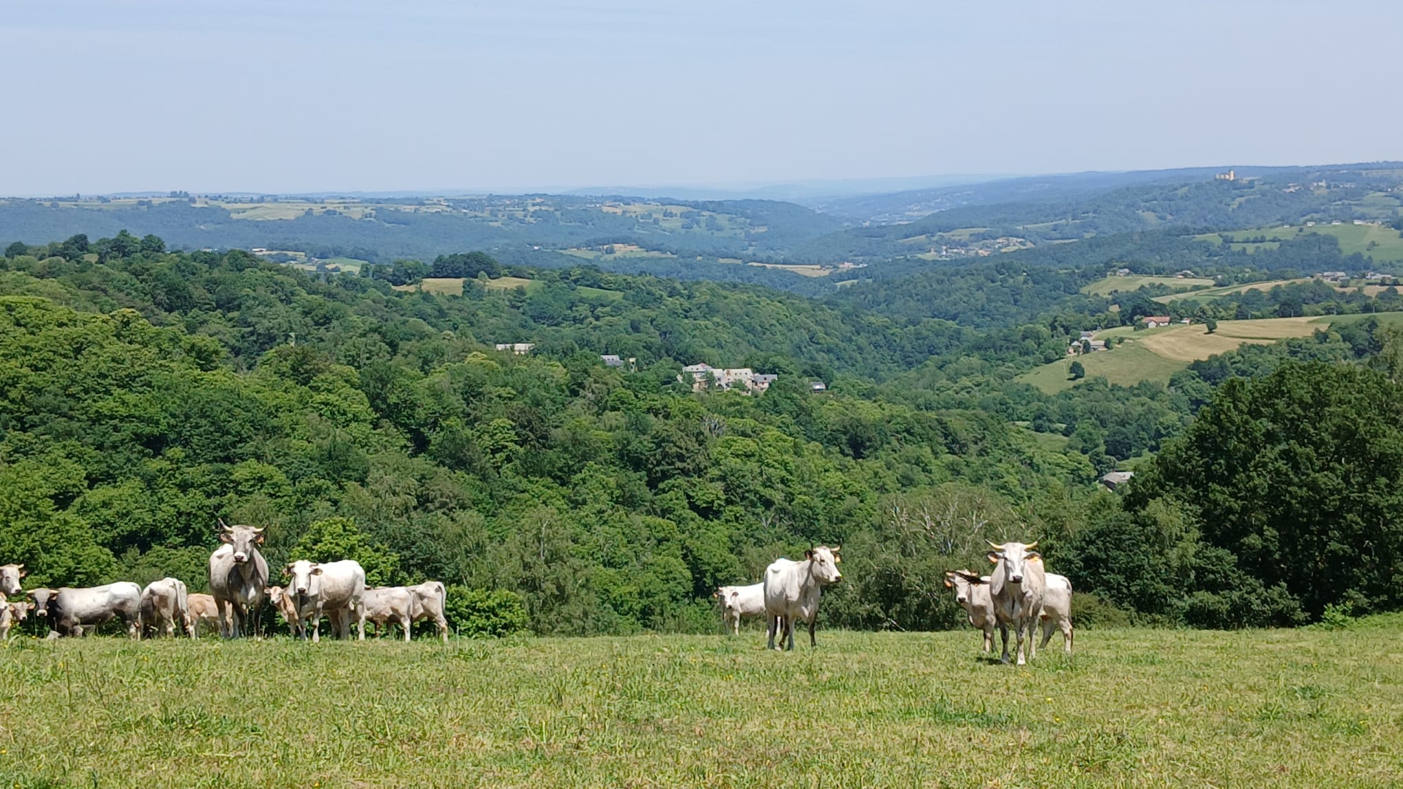 Baronnies 30 