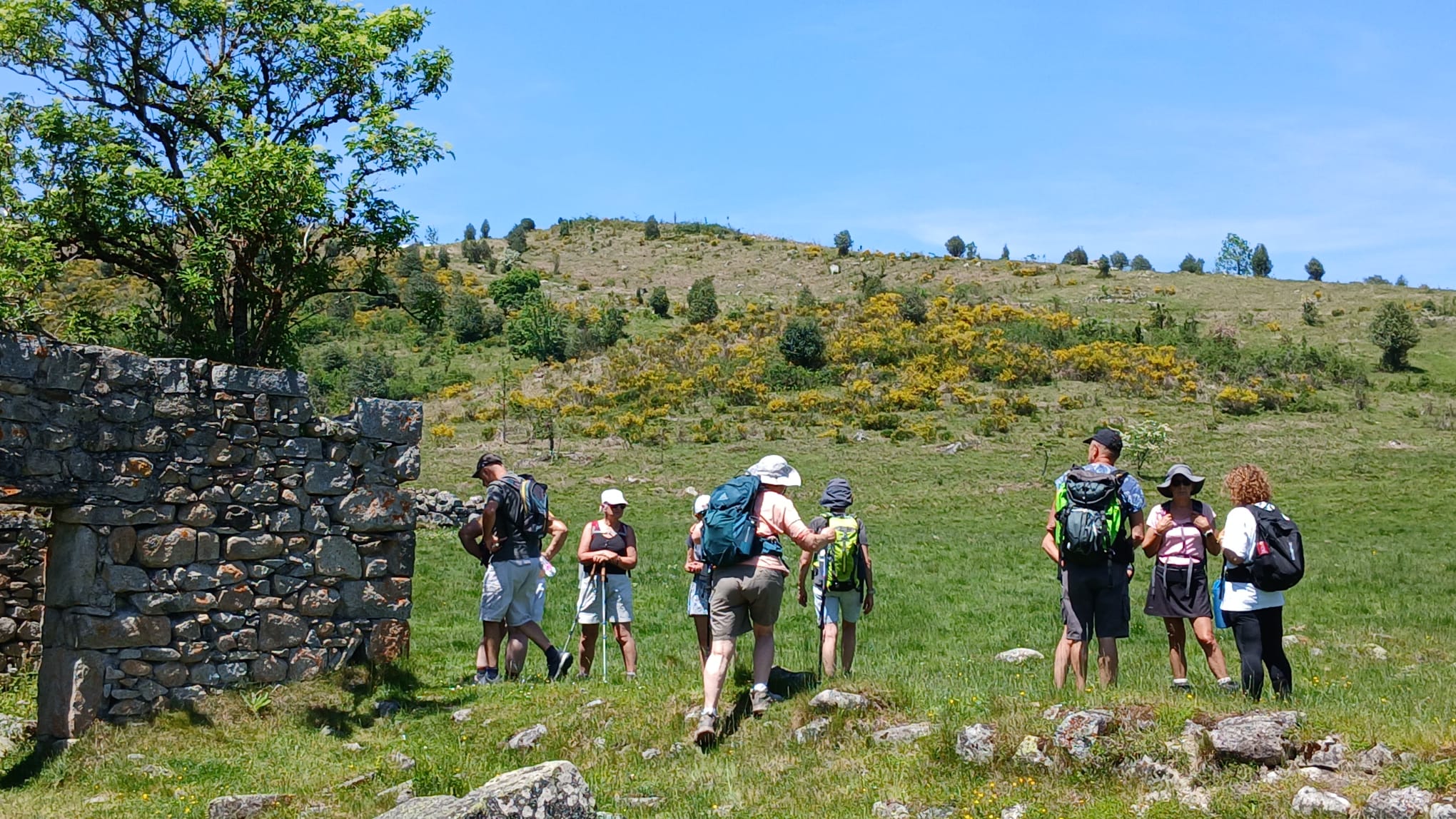 Baronnies 29 