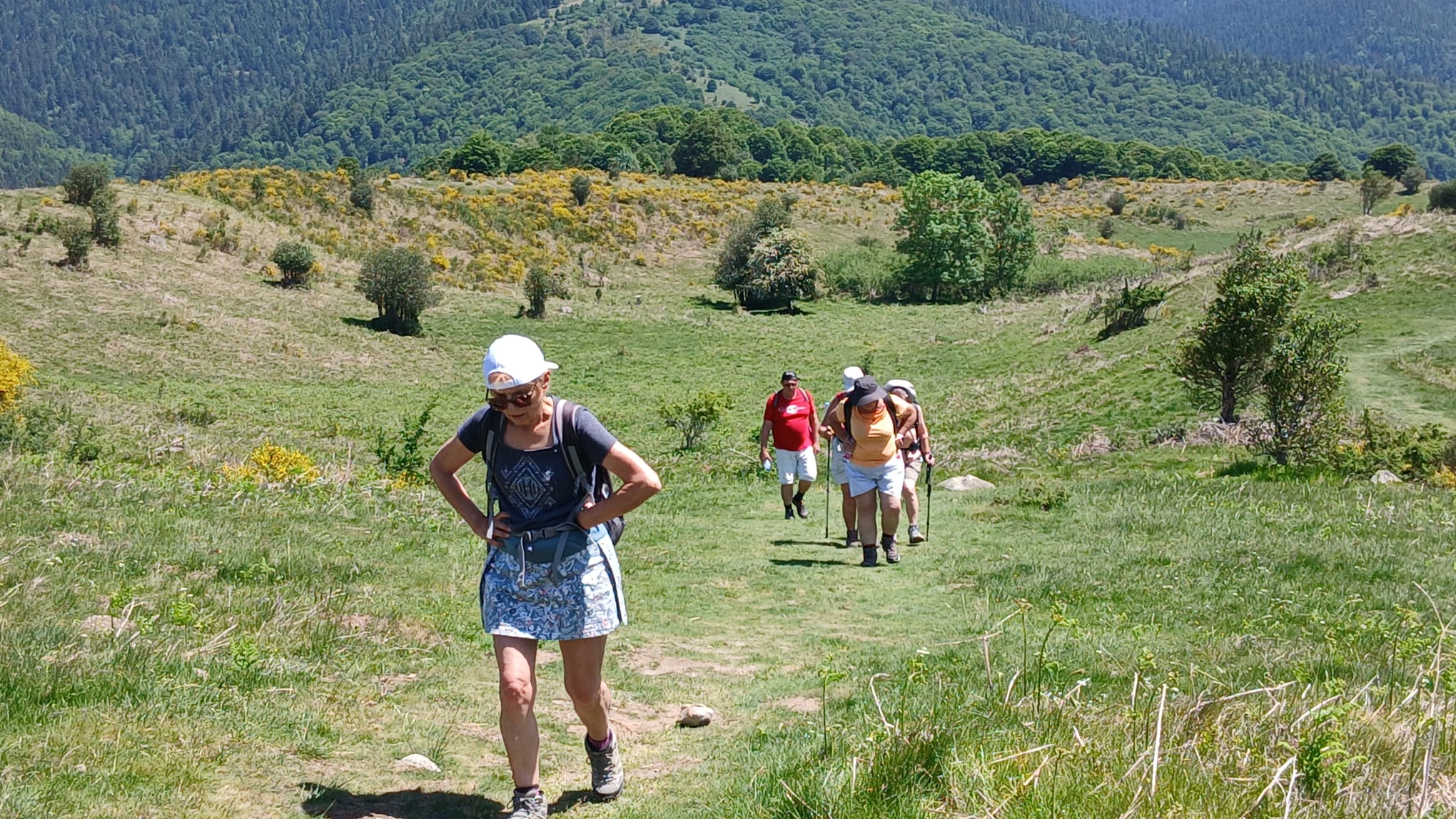 Baronnies 24 