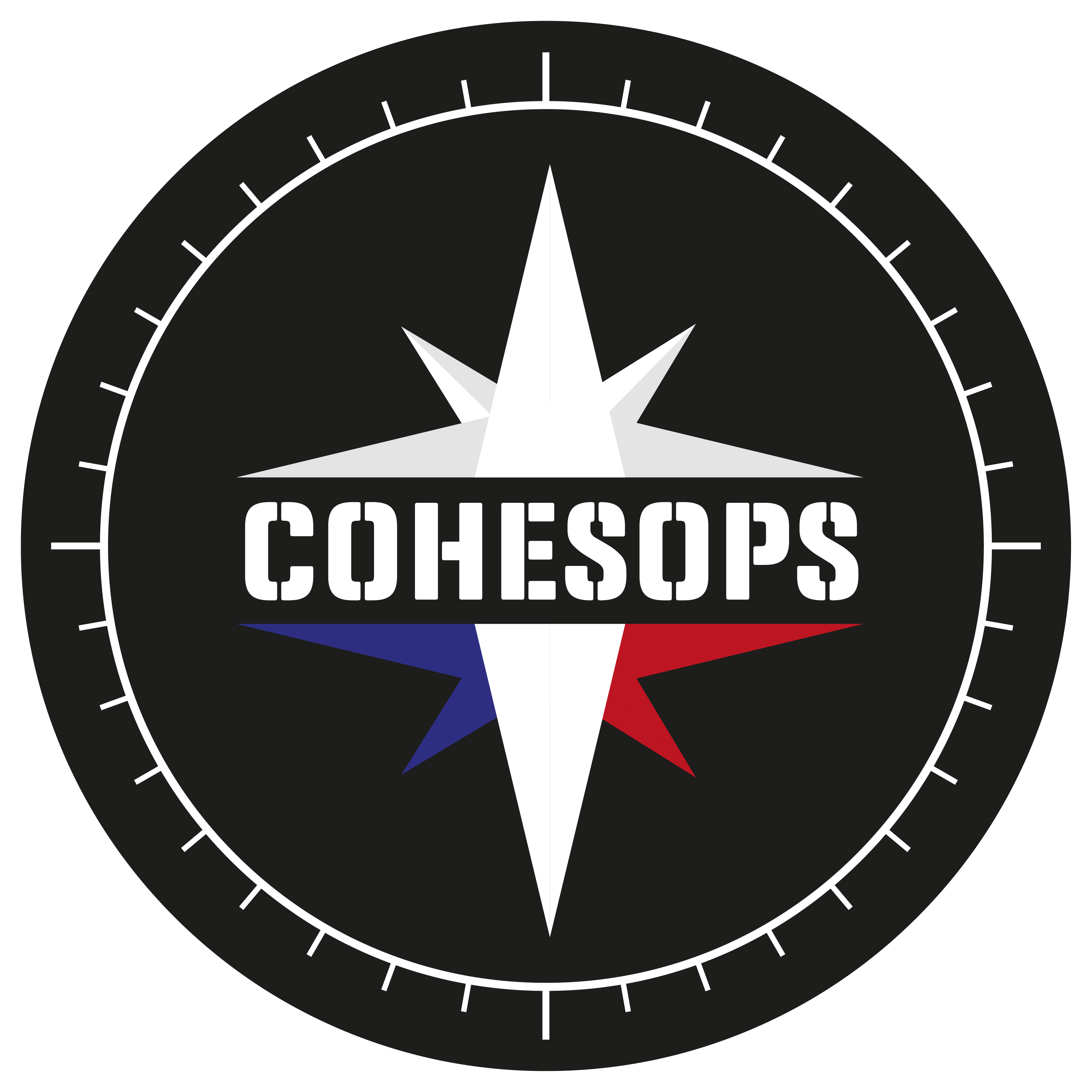 Logo Insta Cohesops RVB 3375x3375 1