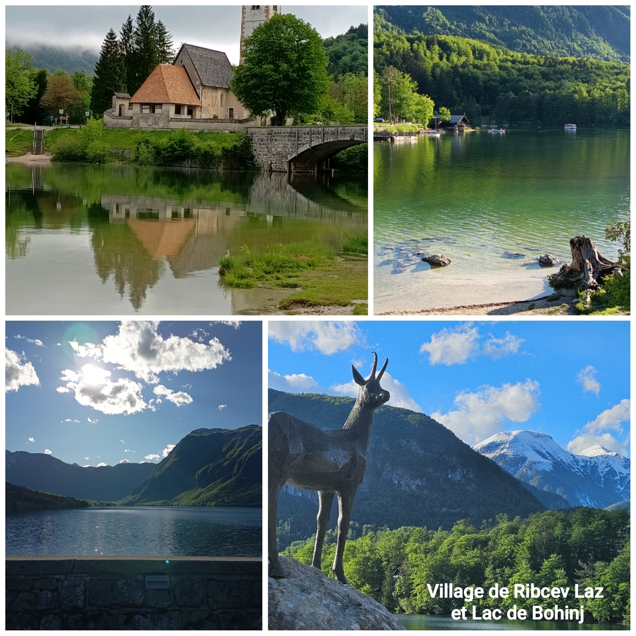 2026 slovenie ph 1