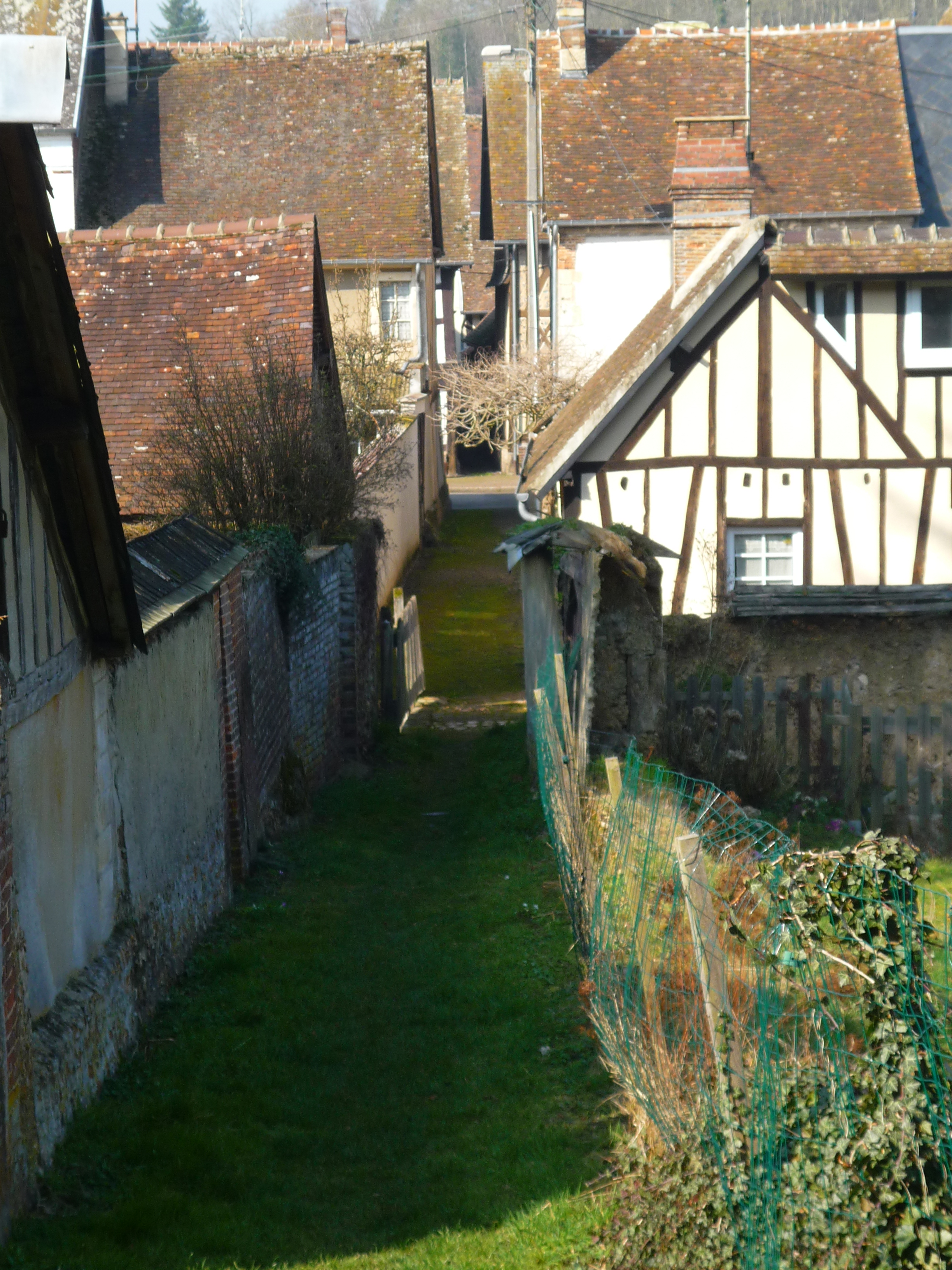 P1020246