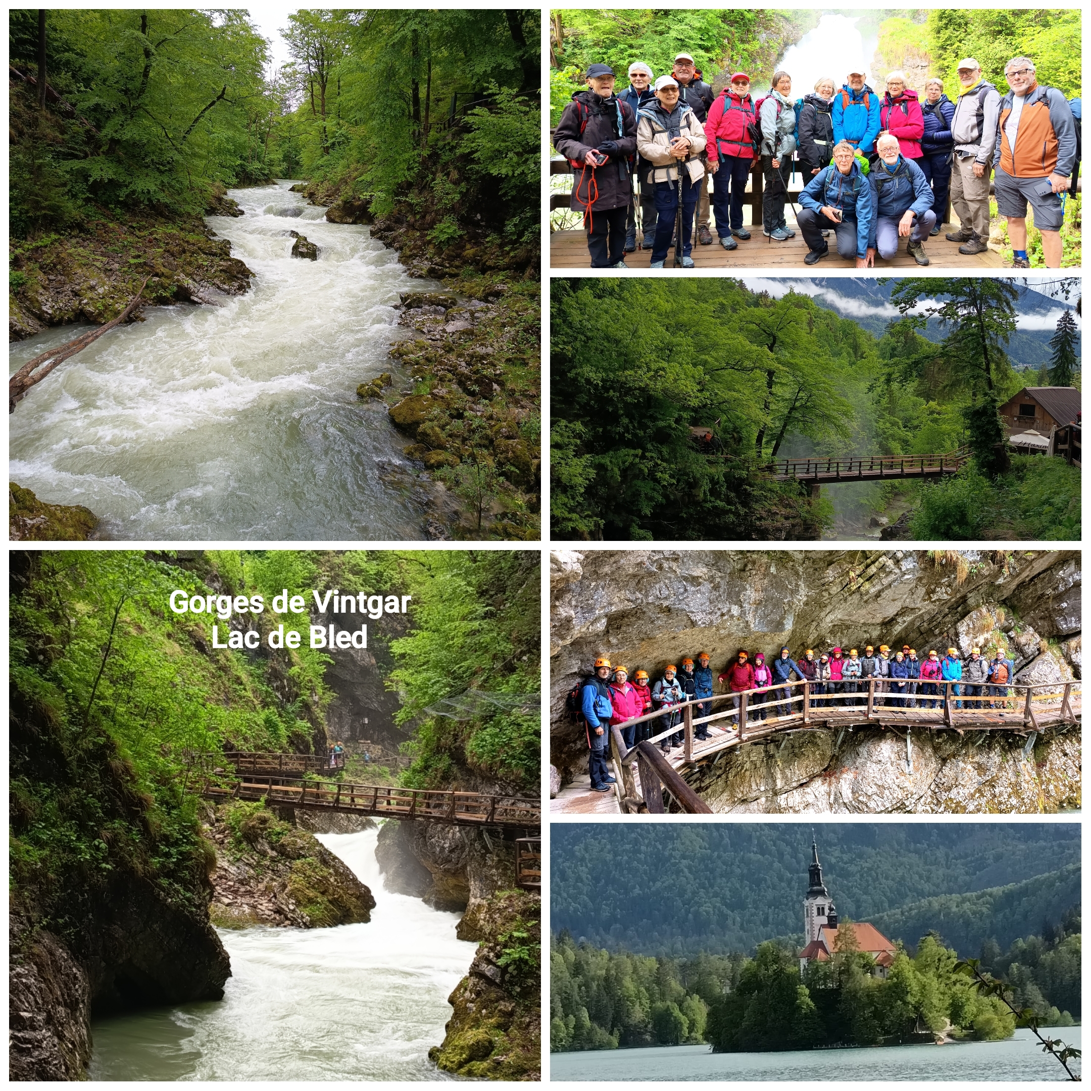 2026 slovenie ph 4