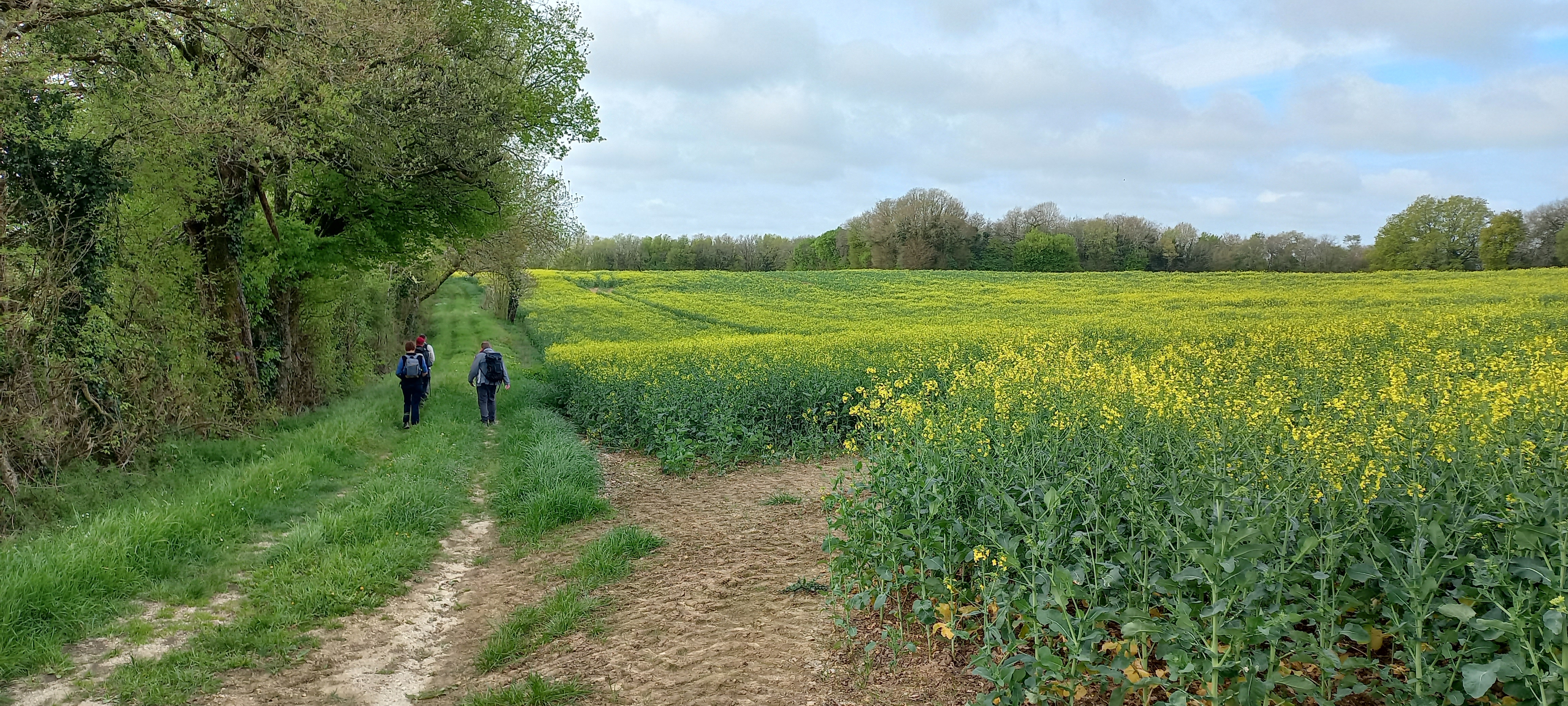 Vaux 6 