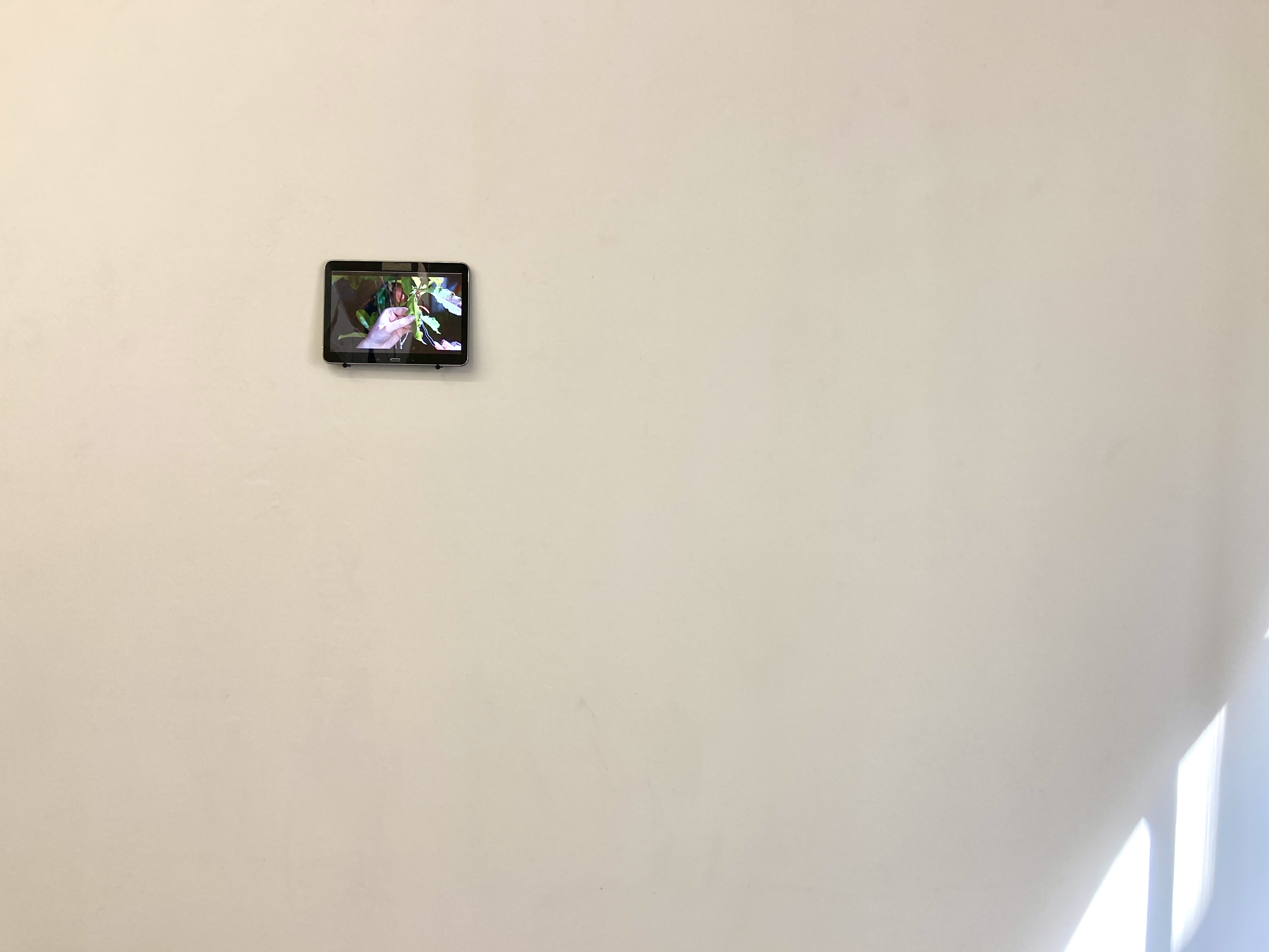 Img 0919