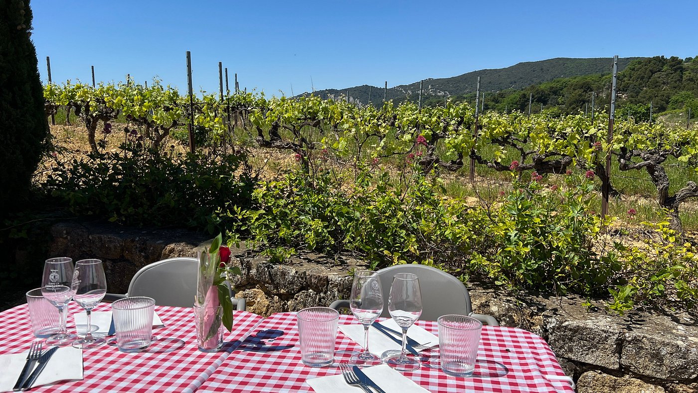 Restaurant-repas-dans-les-vignes