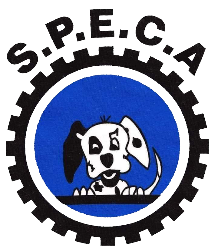 Logo-SPECA