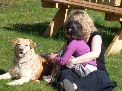 Séance de zoothérapie en IME avec un chien médiateur