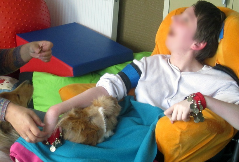 Médiation animale auprès d'un enfant en situation de handicap en IME