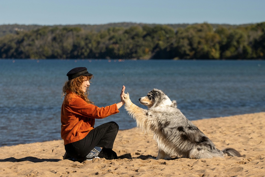 Accompagnement des phobies grâce à la médiation animale