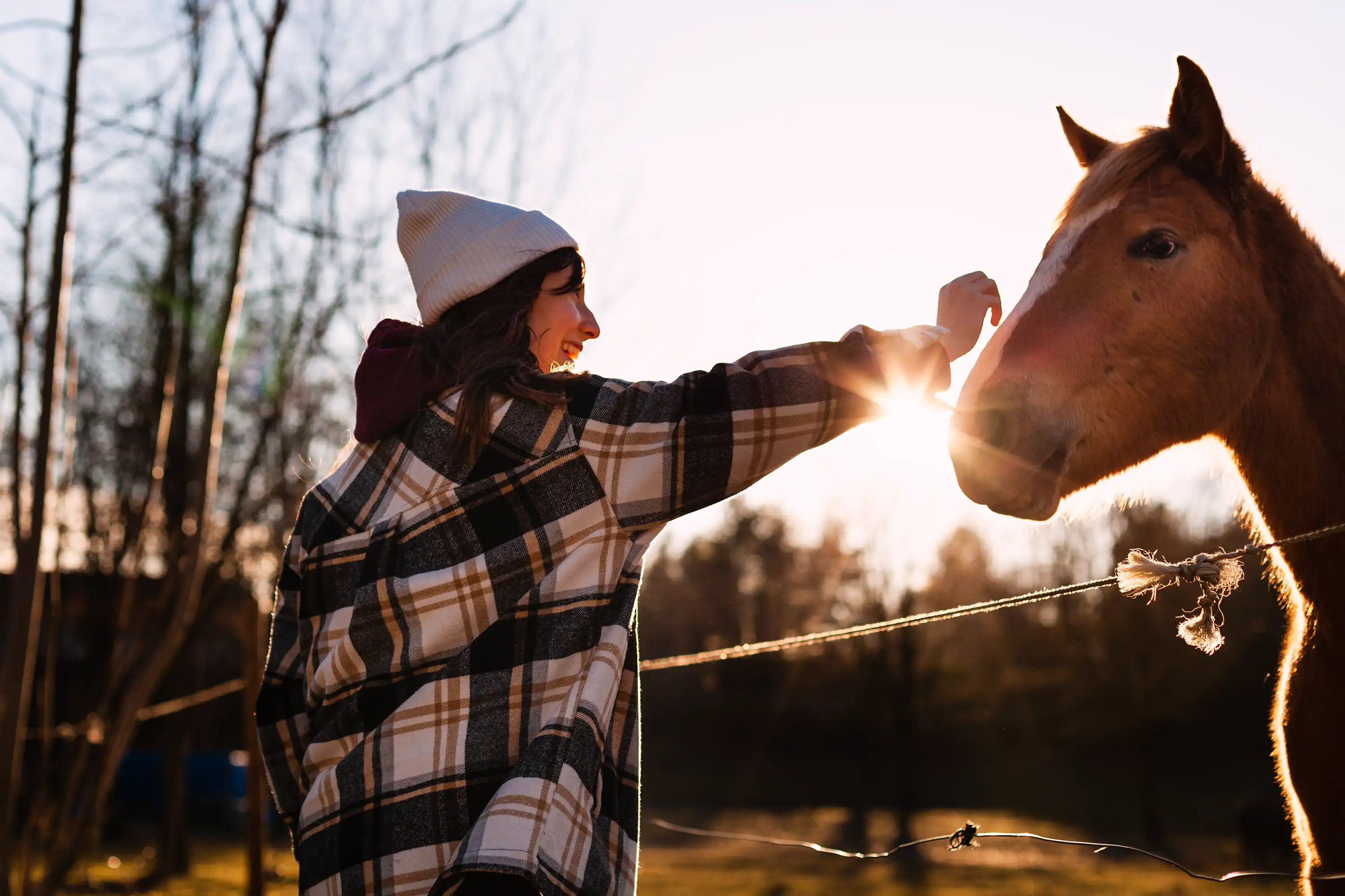 La qualité de la relation reste au cœur du travail avec le cheval