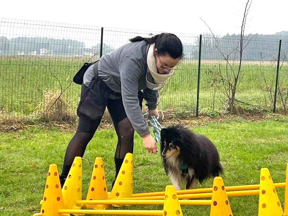 Complicité, une activité ludique du club SPECA pour renforcer la liaison maître-chien
